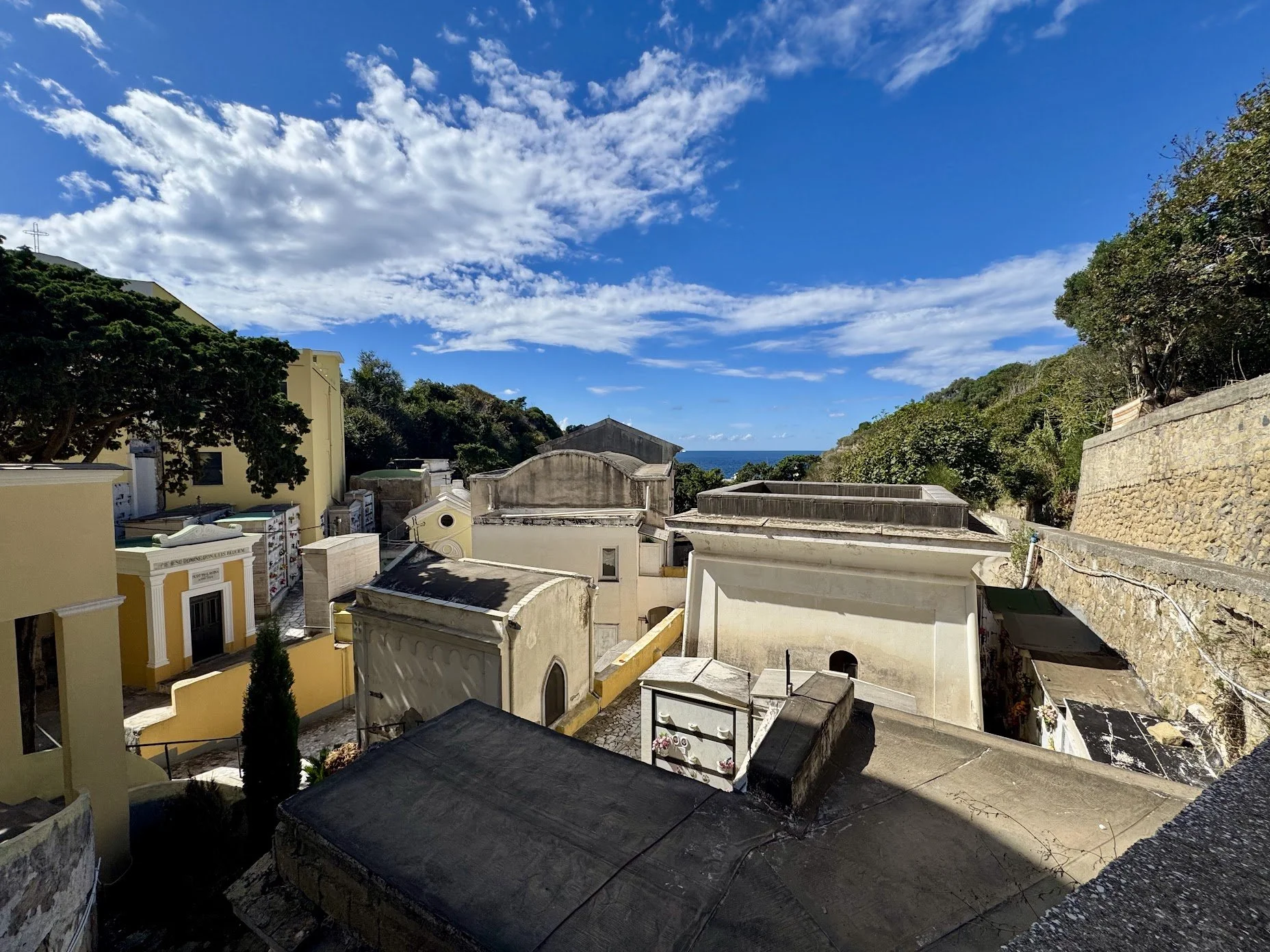 View of a coastal city with colorful buildings, trees, and a distant ocean horizon under a clear blue sky with scattered clouds.