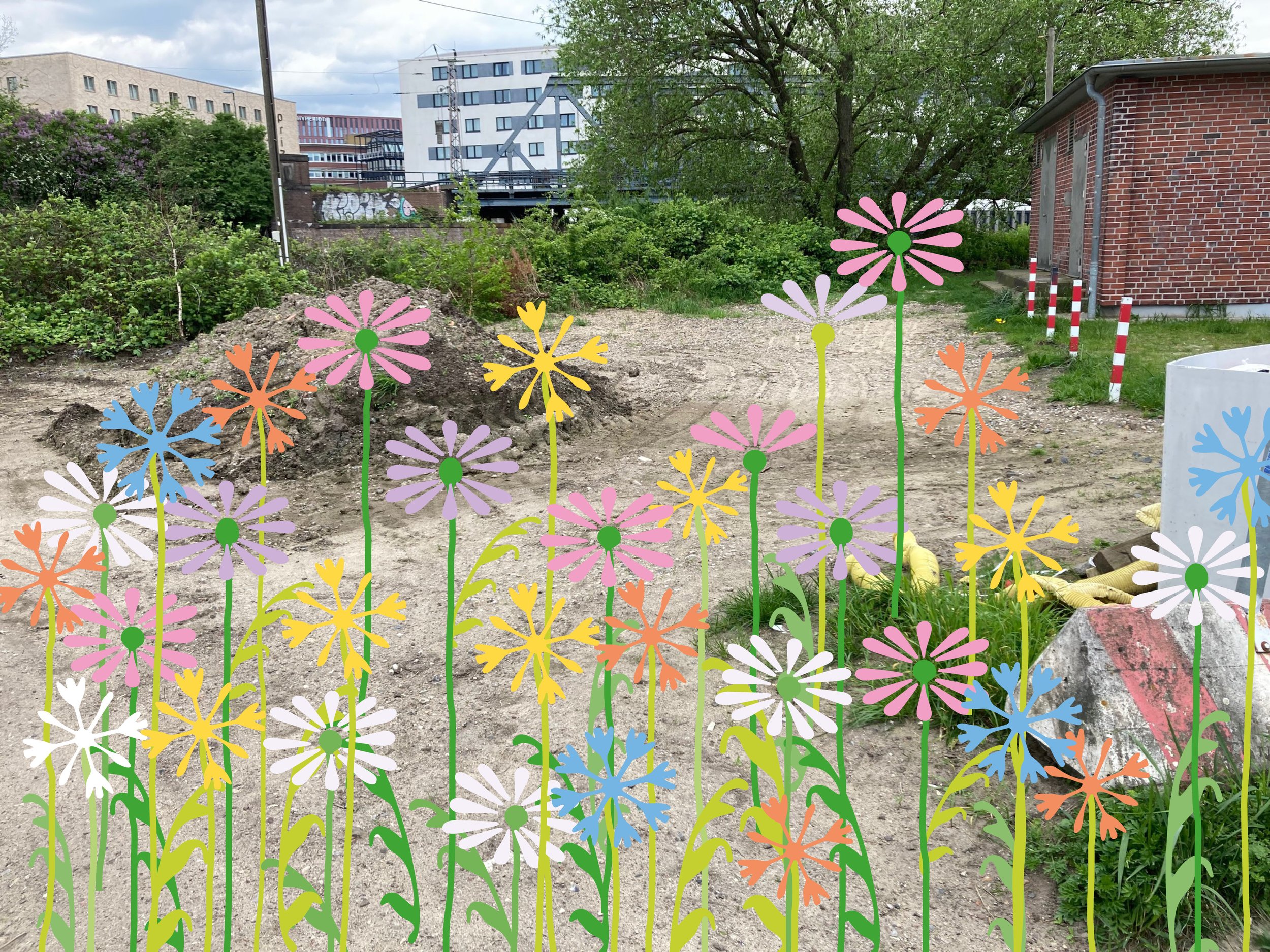 Unser neues Projekt: die Drachenwiese!