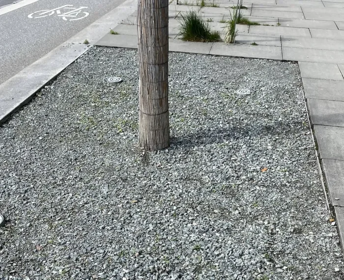 Die Entdeckung der Langsamkeit