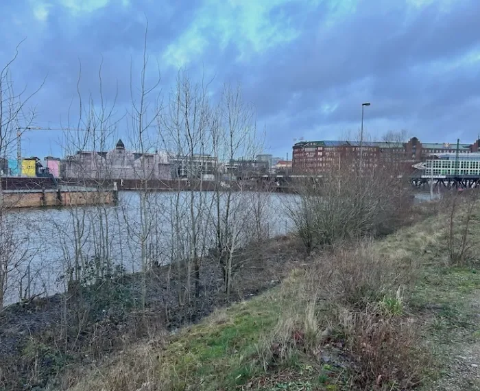 MSC-Großbaustelle neben dem Campus HafenCity?