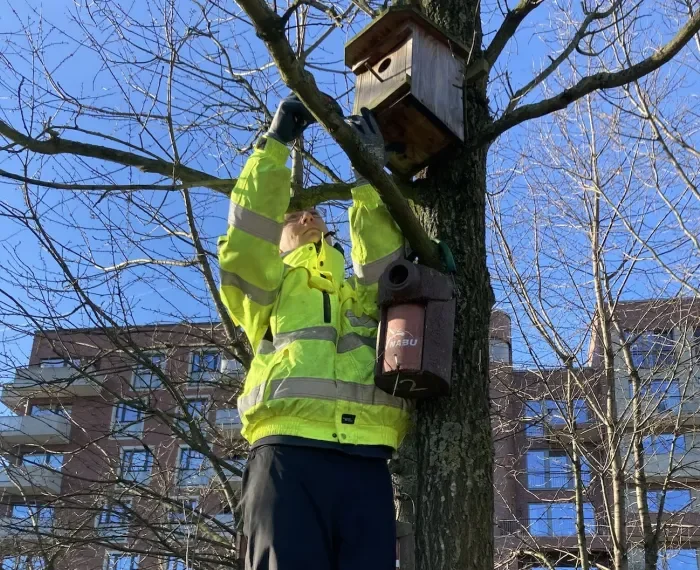 Nistkästen-Inspektion im Lohsepark