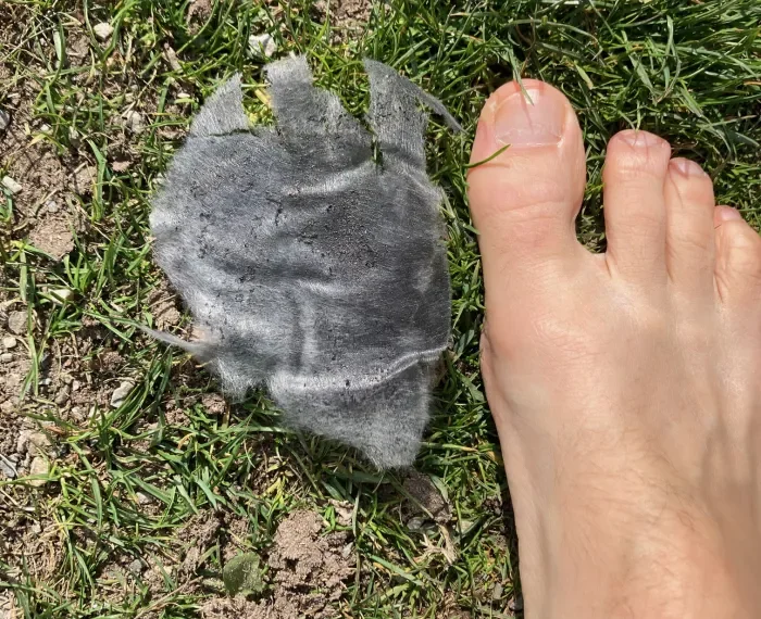 Ascheregen über der HafenCity