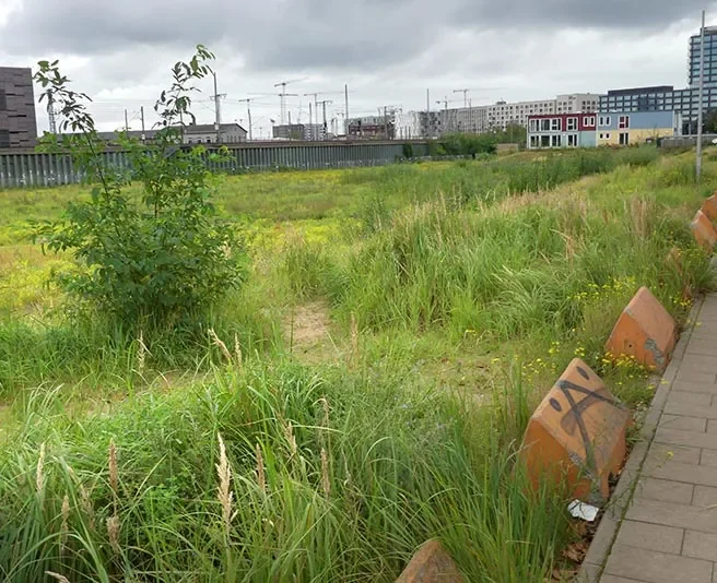 Wieviel Platz braucht ein guter Bildungsort?