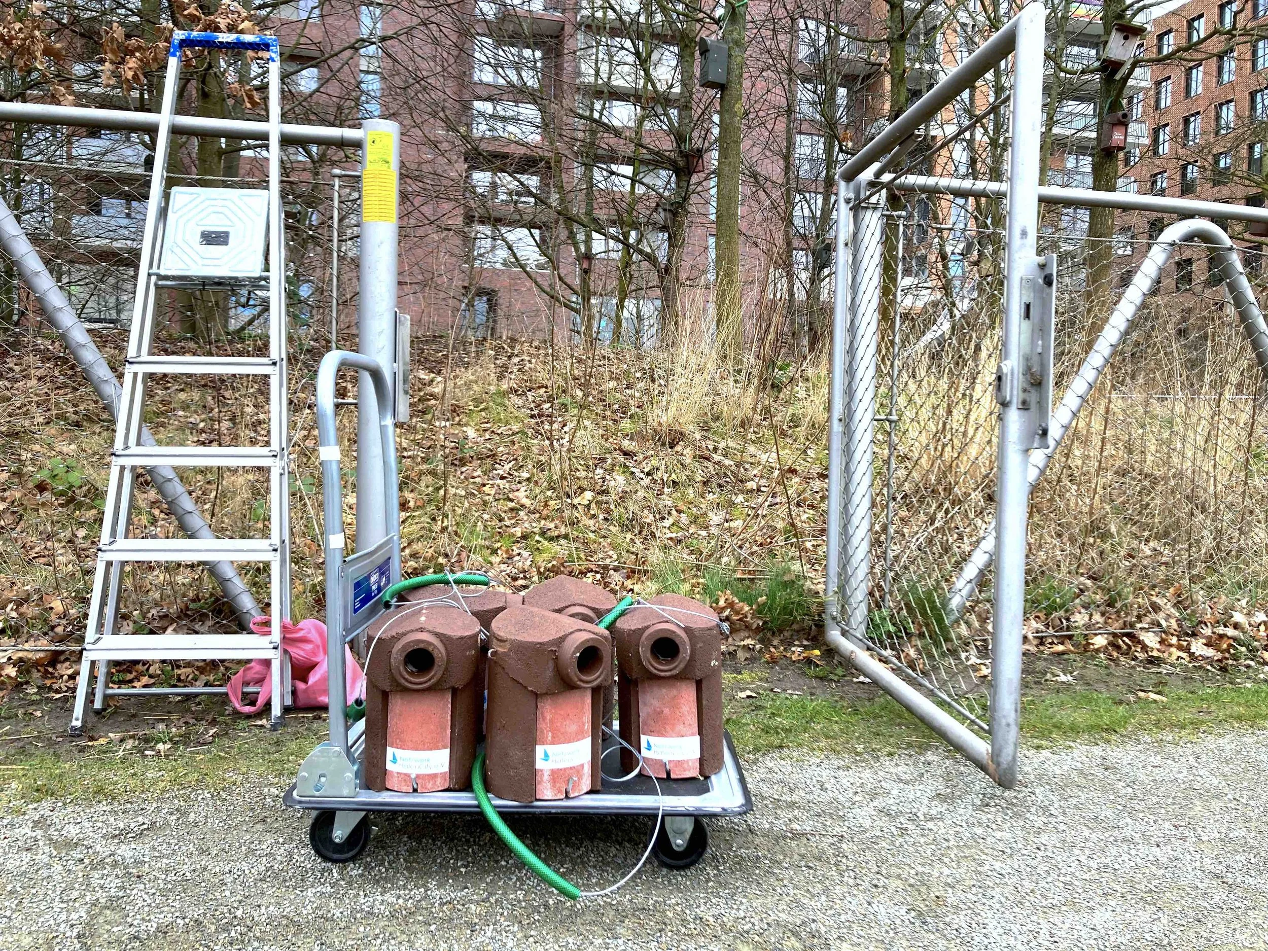 Vortrag und fünf neue Wohnungen am Weltspatzentag