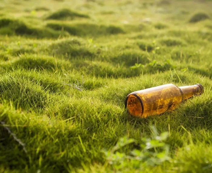 Am 17.9. ist World Cleanup Day - wir sind dabei!