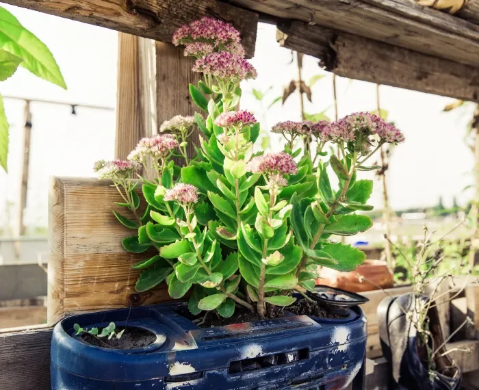 Runder Tisch für eine grünere HafenCity