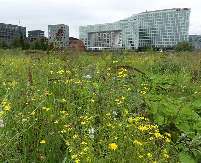 Natur und Romantik in der HafenCity