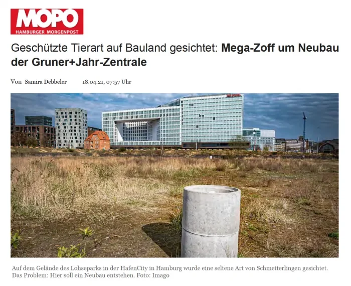 Hamburger Morgenpost 18.04.21: Geschützte Tierart auf Bauland gesichtet