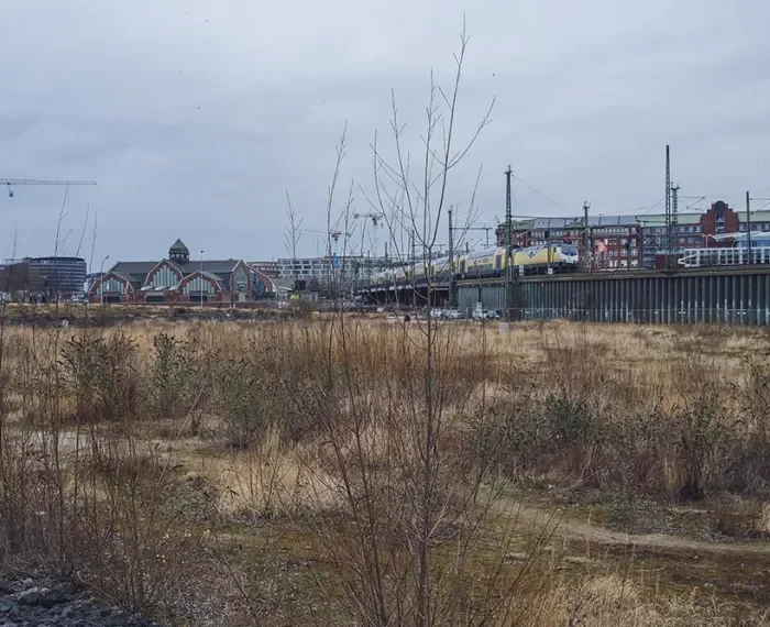 HCZ 04/21: Falter-Foul