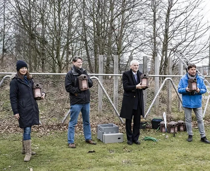 Schöner brüten im Lohsepark