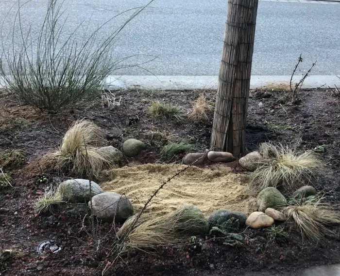 Entsiegeln, pflanzen, weiterdenken - Empfehlungen für den Vogelschutz