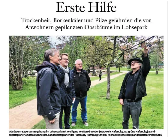 HCZ 11/20: Erste Hilfe - Obstbäume im Lohsepark sind gefährdet