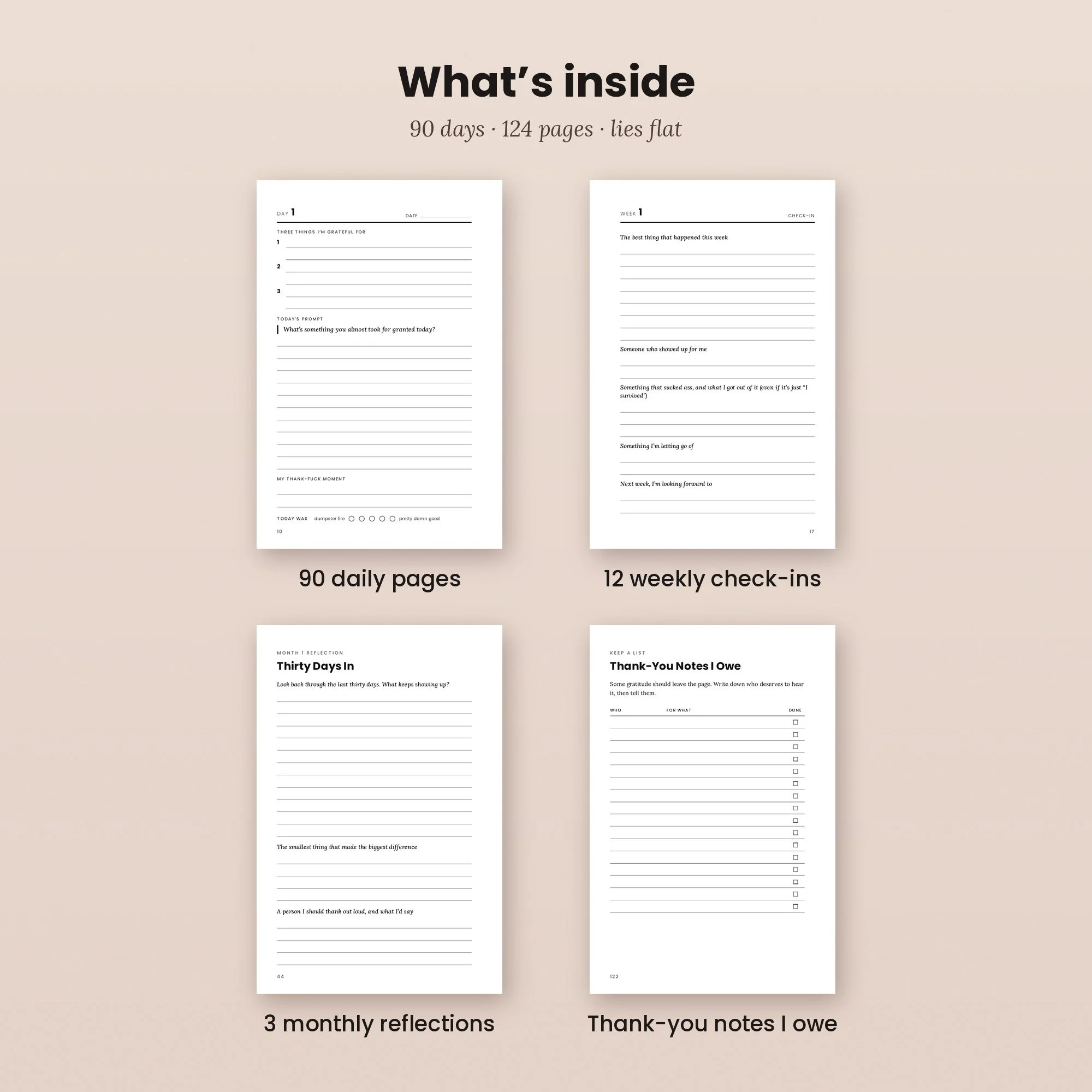 Thank_Fuck_04_whats_inside.jpg