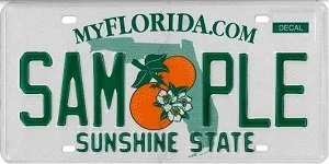 Florida license plate reading 'Sample Sunshine State' with an orange and flower graphic