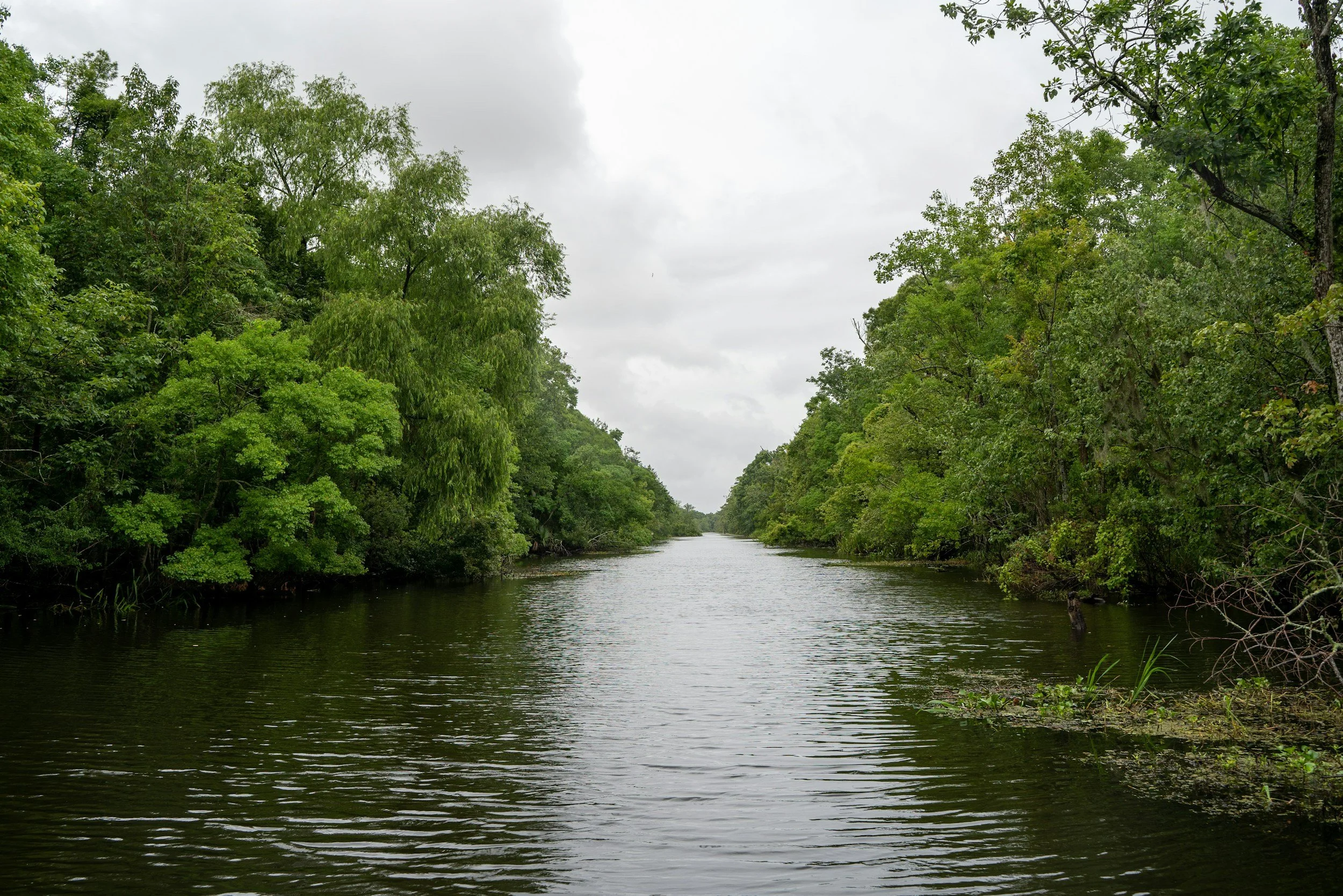 An image of a waterway lined by green trees on both sides under a cloudy sky