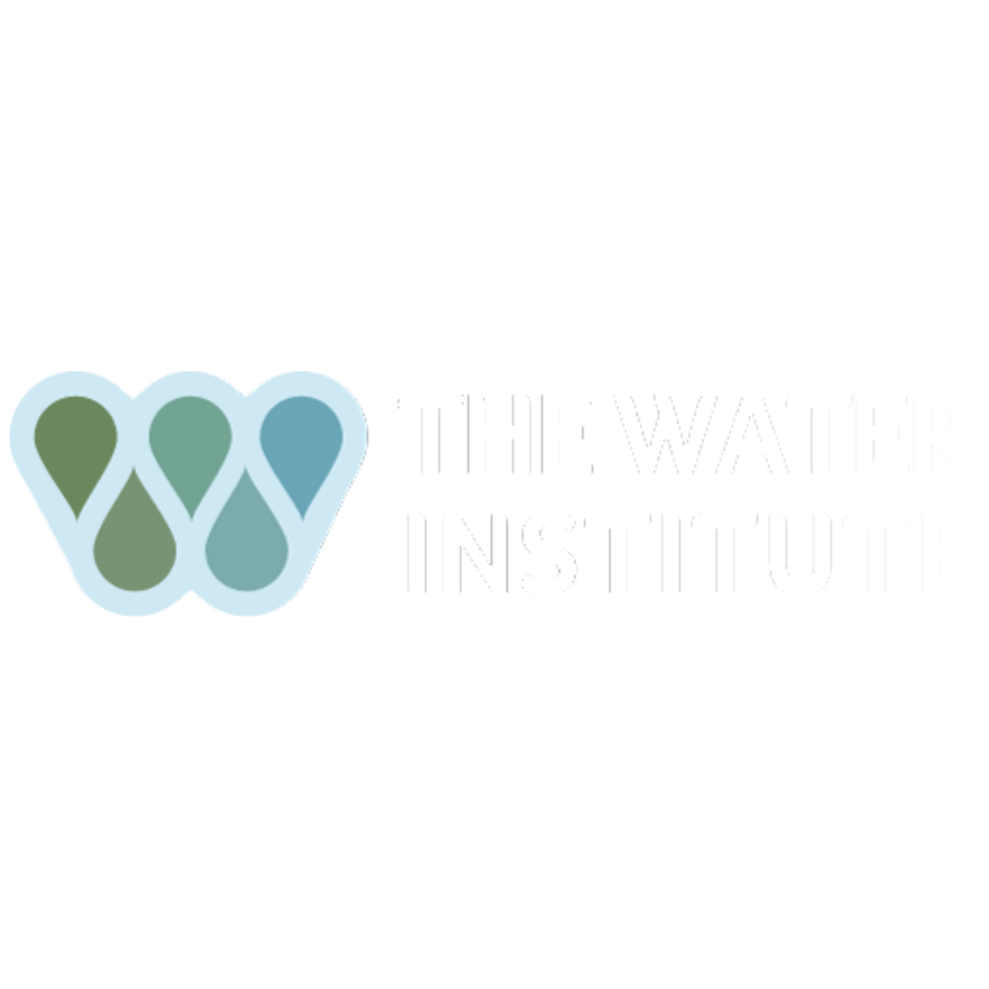 Logo of The Water Institute featuring three stylized water droplets and text in black, gray, white, and colored lines.
