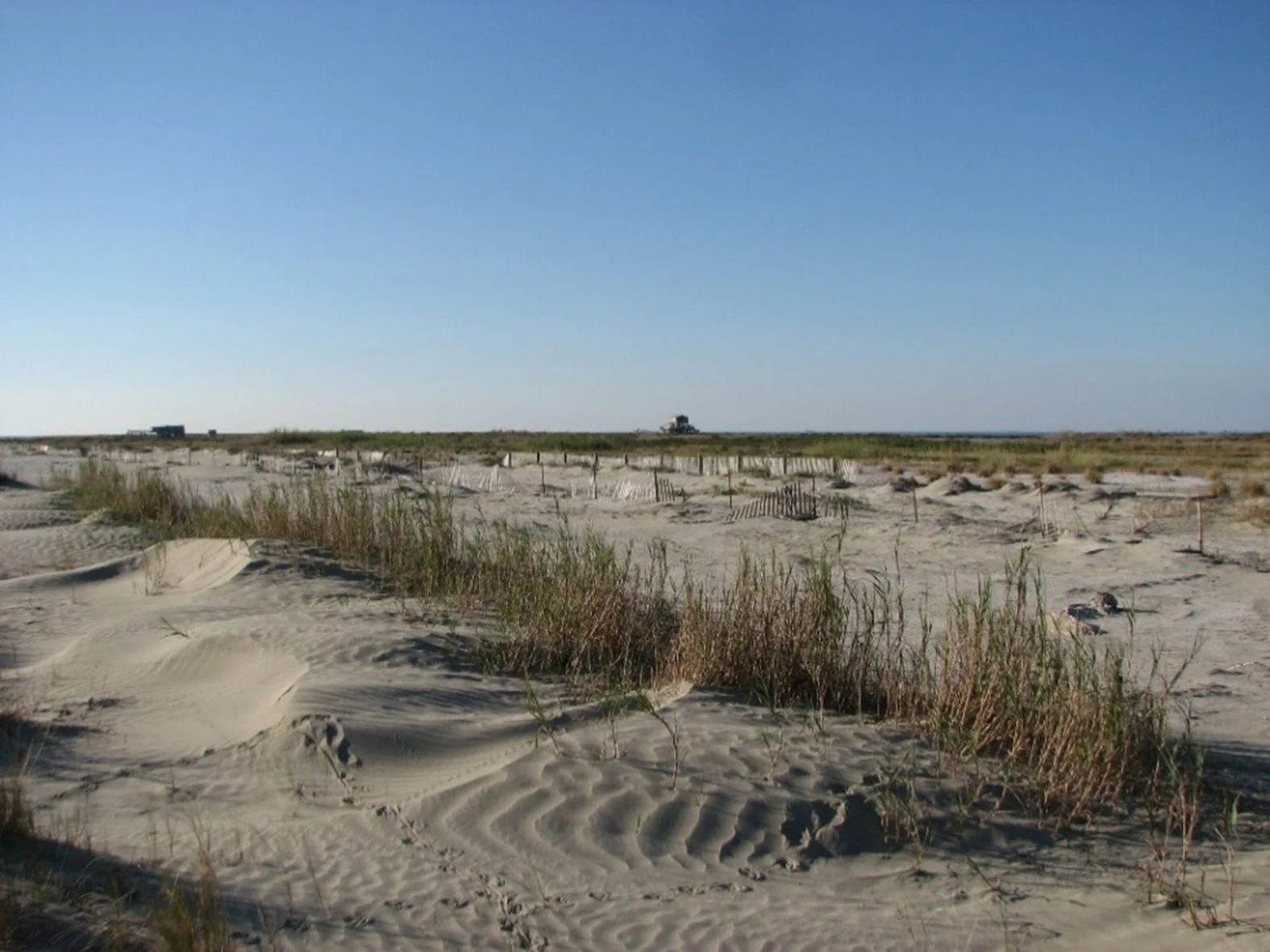 An image of white sand and green-brown grass under a clear blue sky.