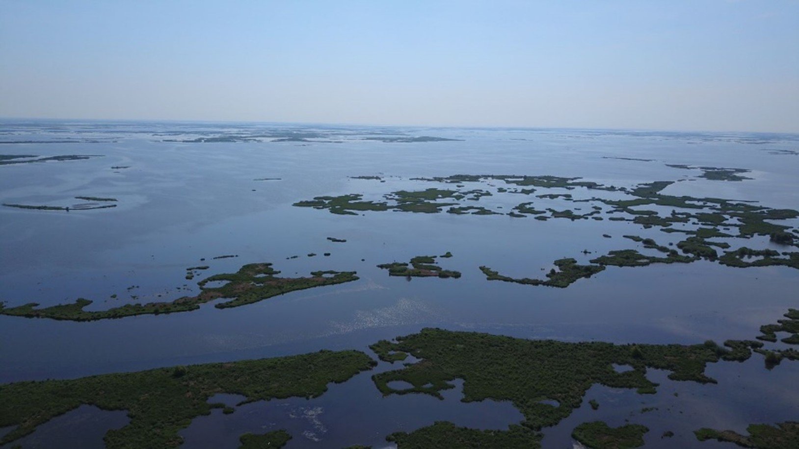 An aerial image of water and green plant life.