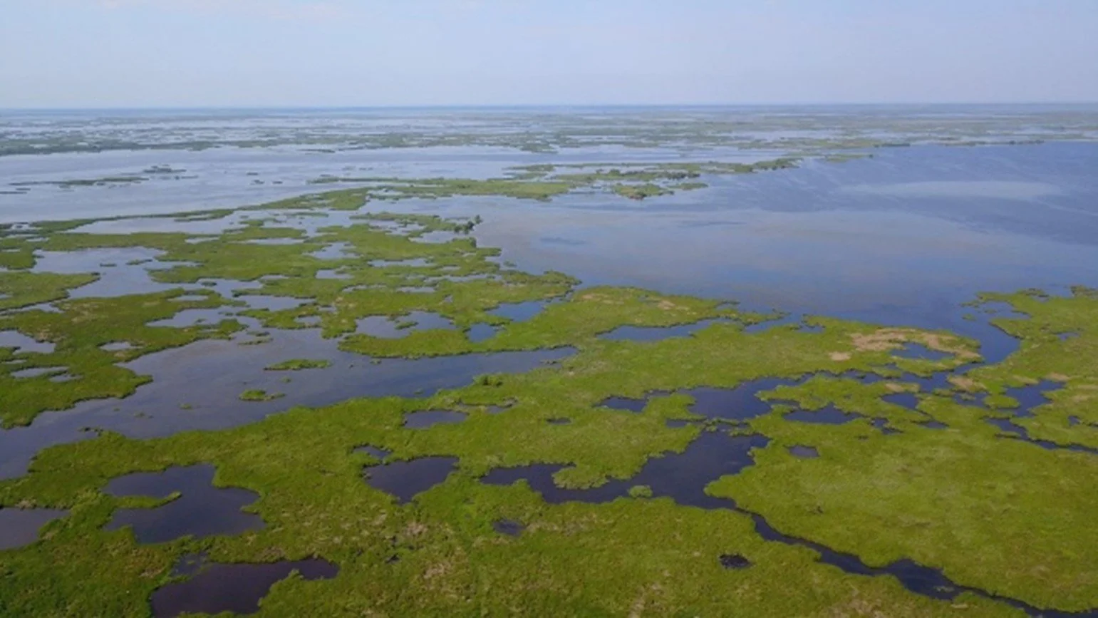 An image of a marsh with blue water and islands of lush green plant life.