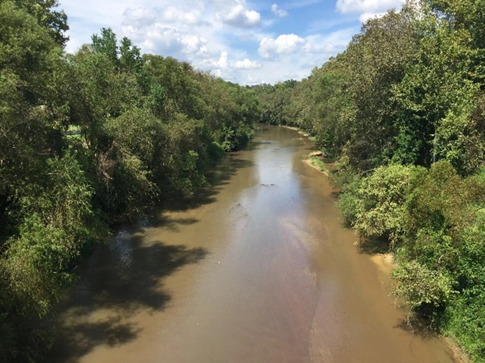 An image of the Comite River that depicts a brown colored waterway lined with green trees on both sides underneath a cloudy blue sky.