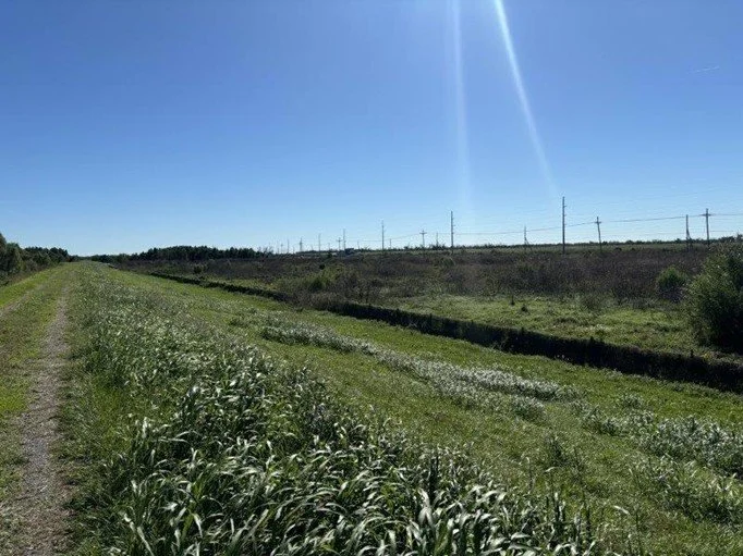 An image of a grassy field with power lines in the distance under a clear blue sky.