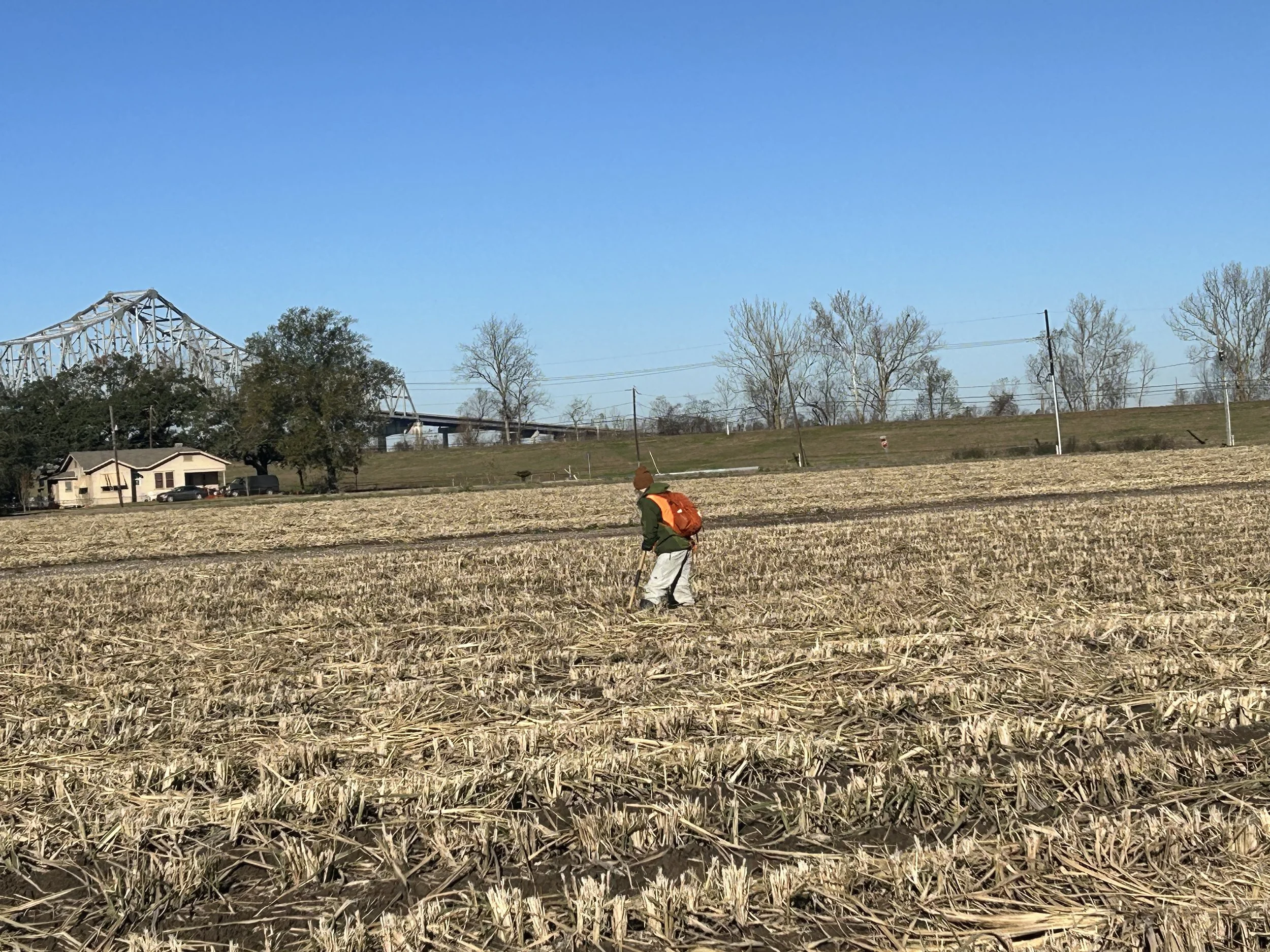 Person with an orange backpack and hat walking through a harvested crop field on a clear day with a blue sky and a bridge in the background.