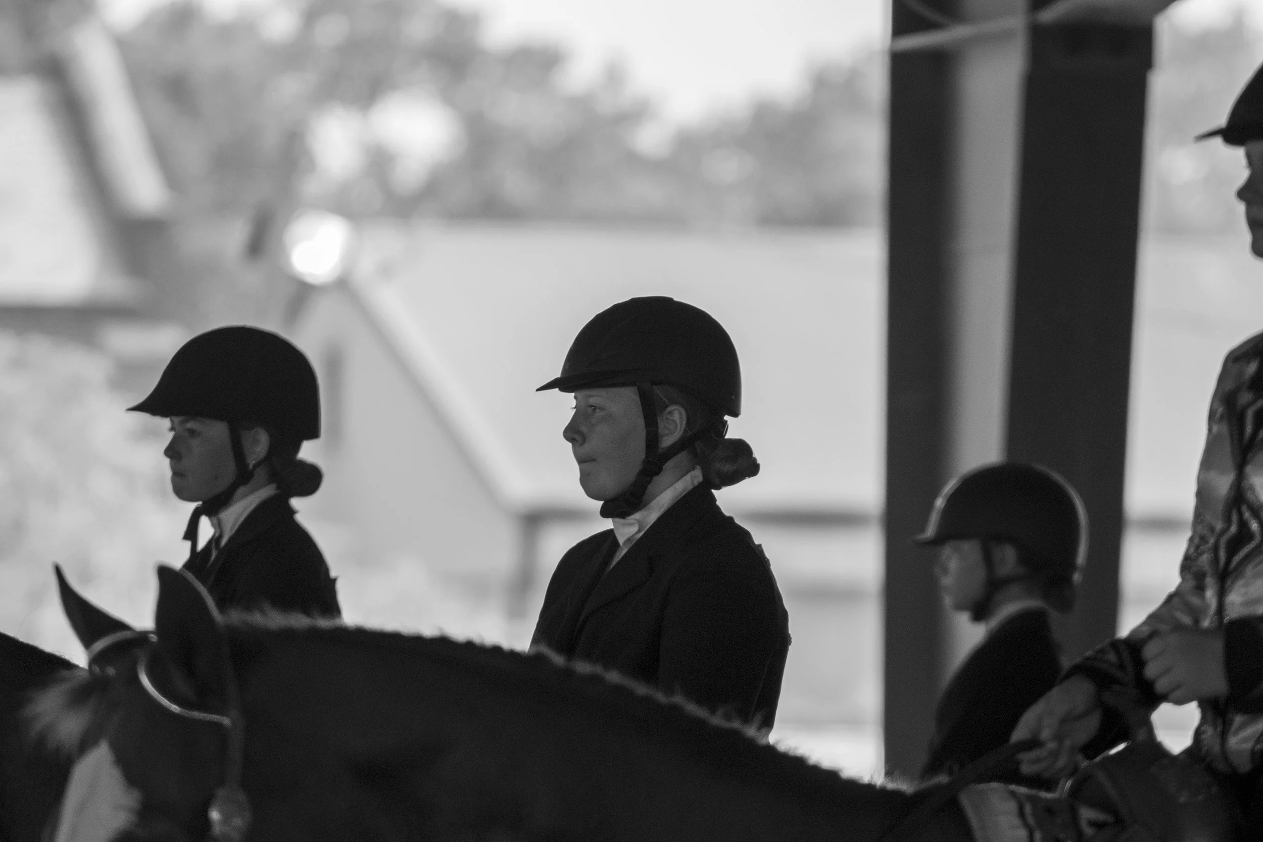 HorseShow_5818.jpg