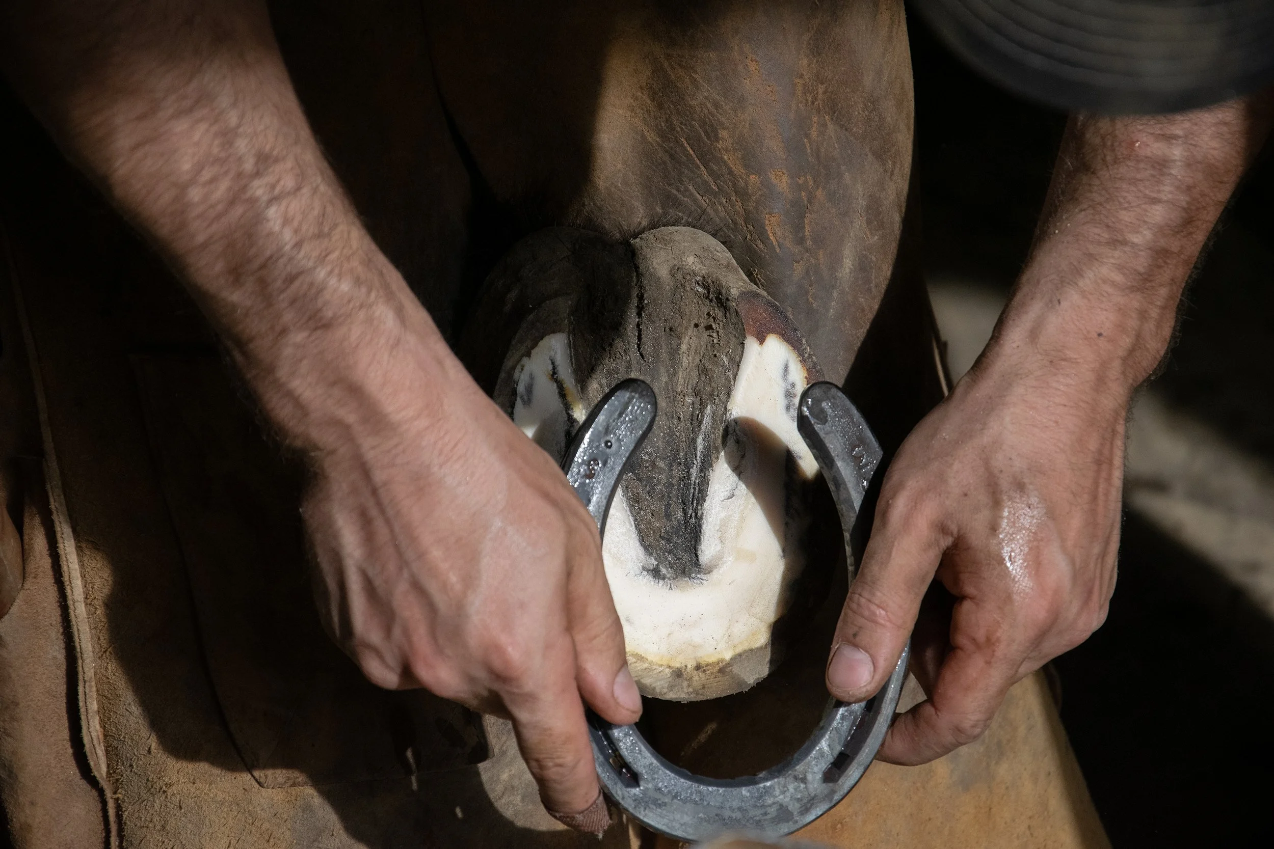 Farrier9.jpg