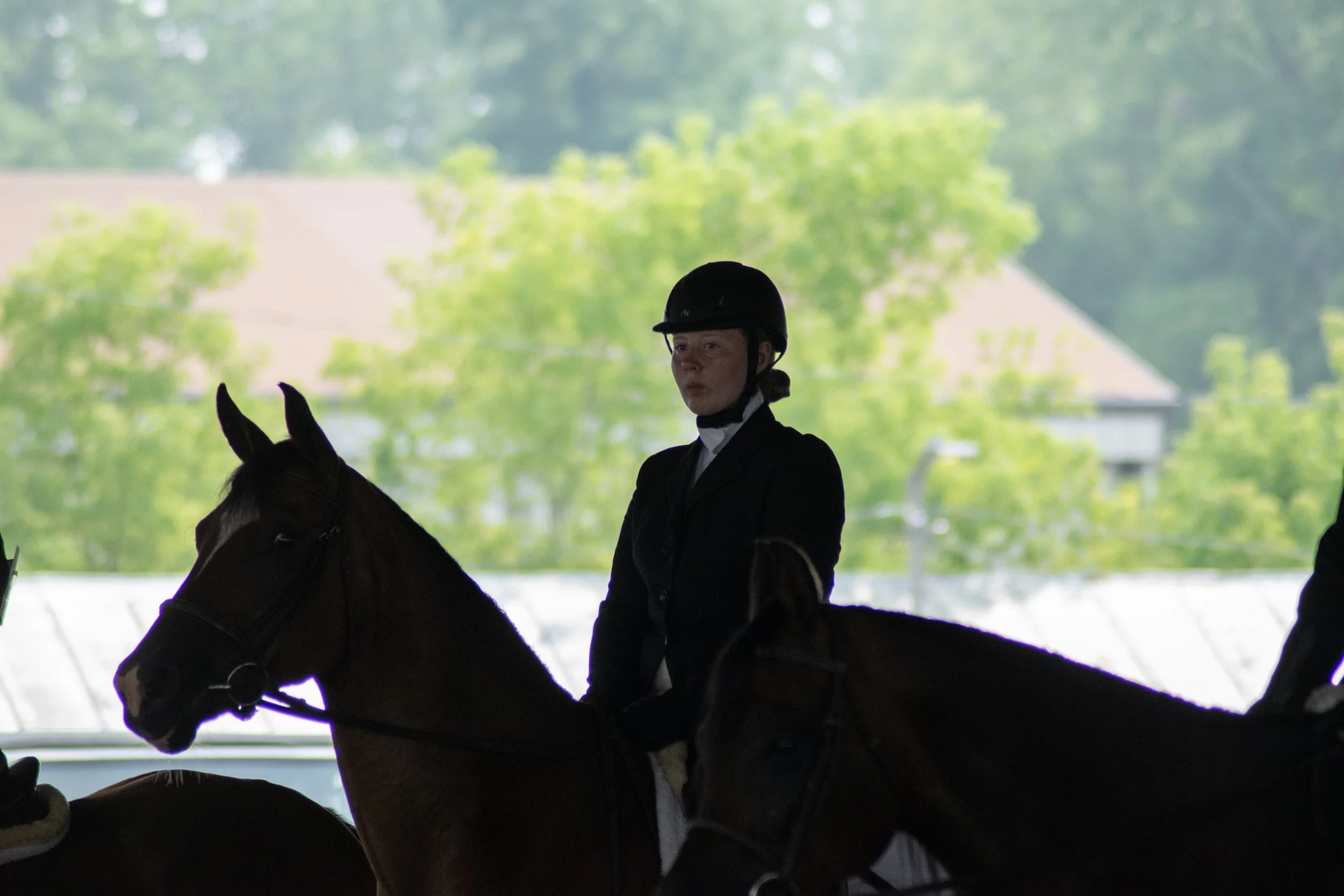 HorseShow_5790.jpg