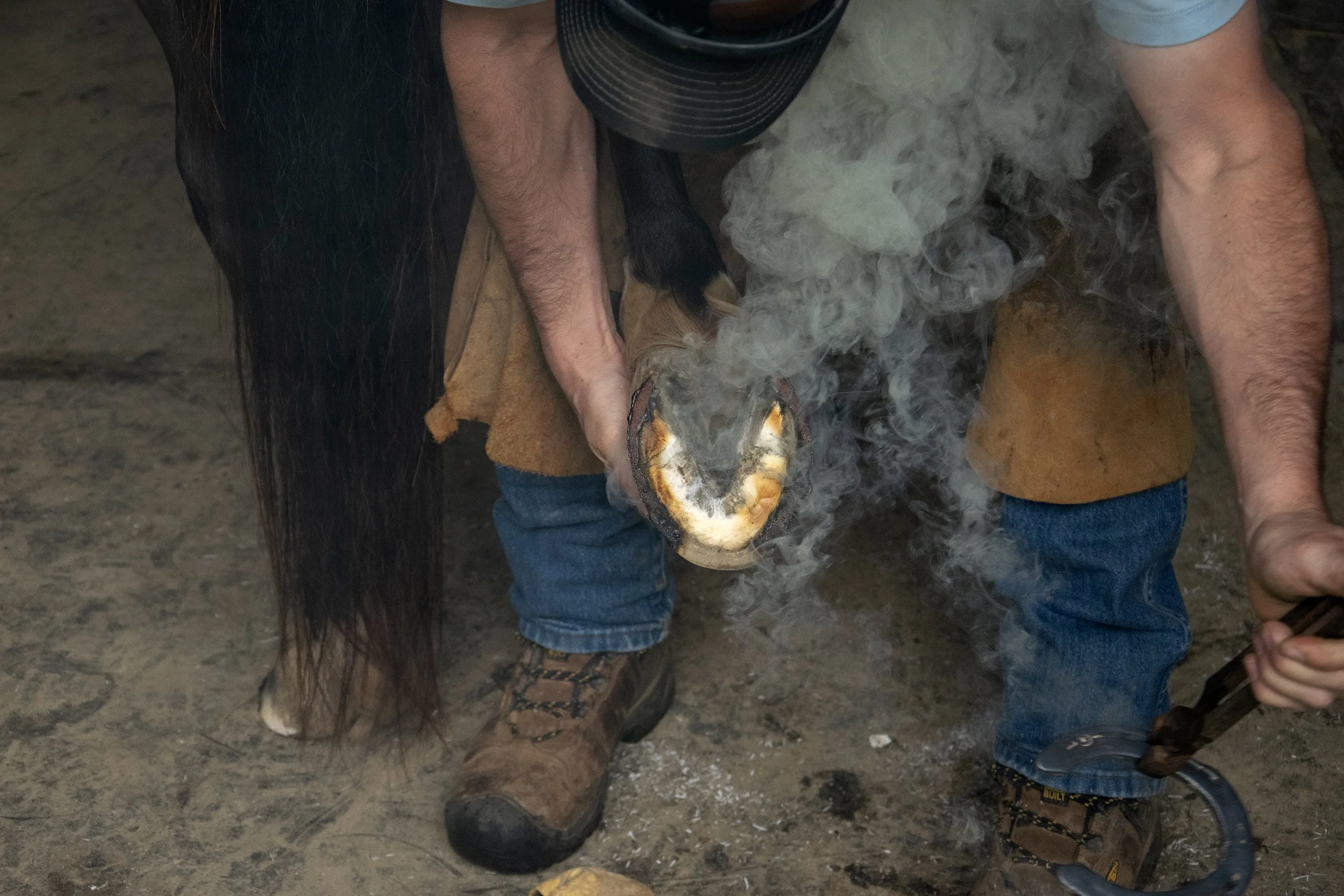 Farrier2.jpg