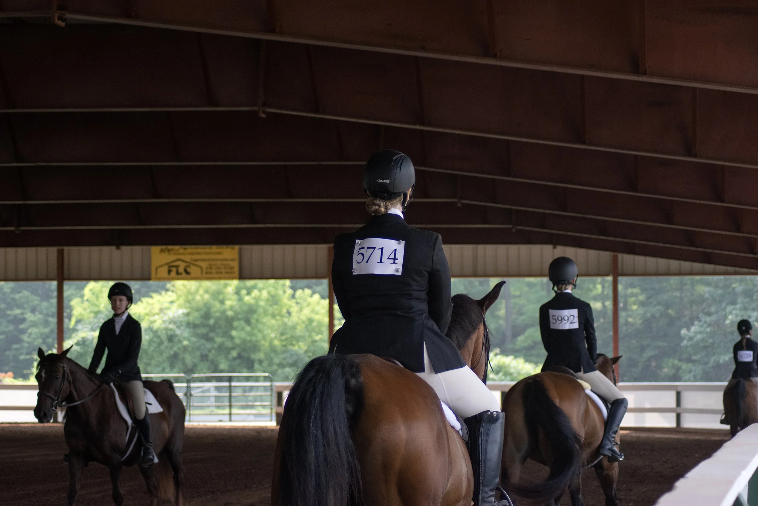 HorseShow_5767.jpg