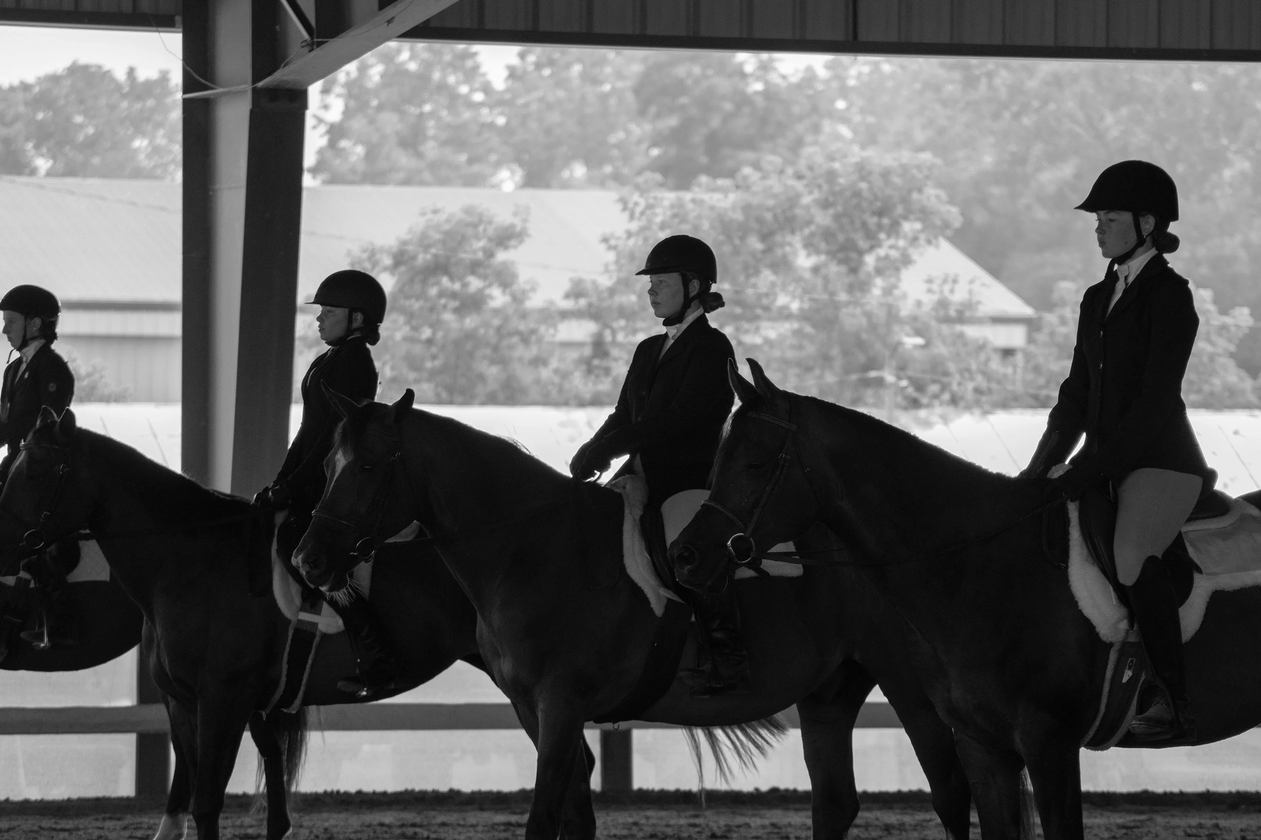 HorseShow_5784.jpg