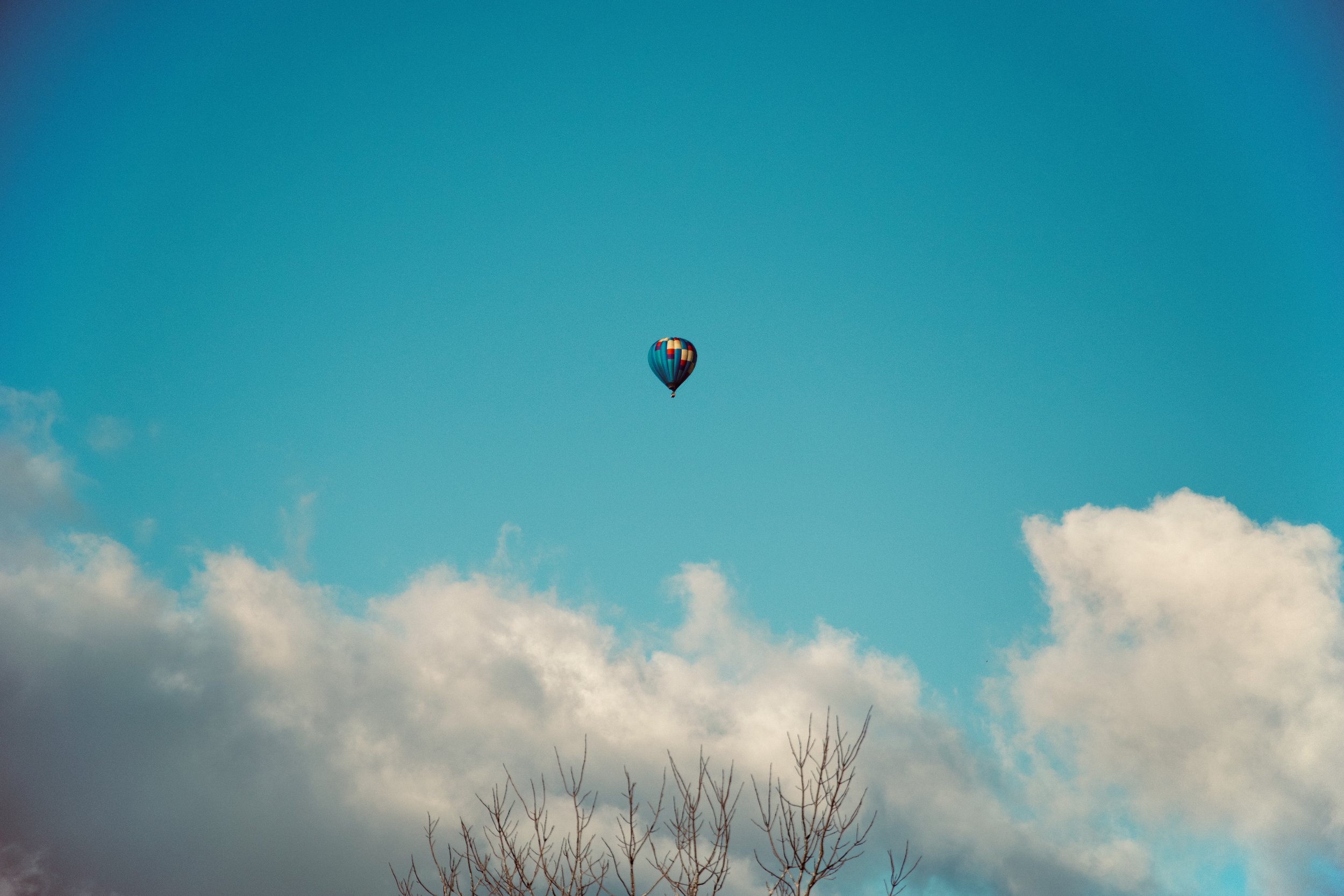A hot air balloon floating in a clear blue sky with some white clouds and a leafless tree in the foreground.