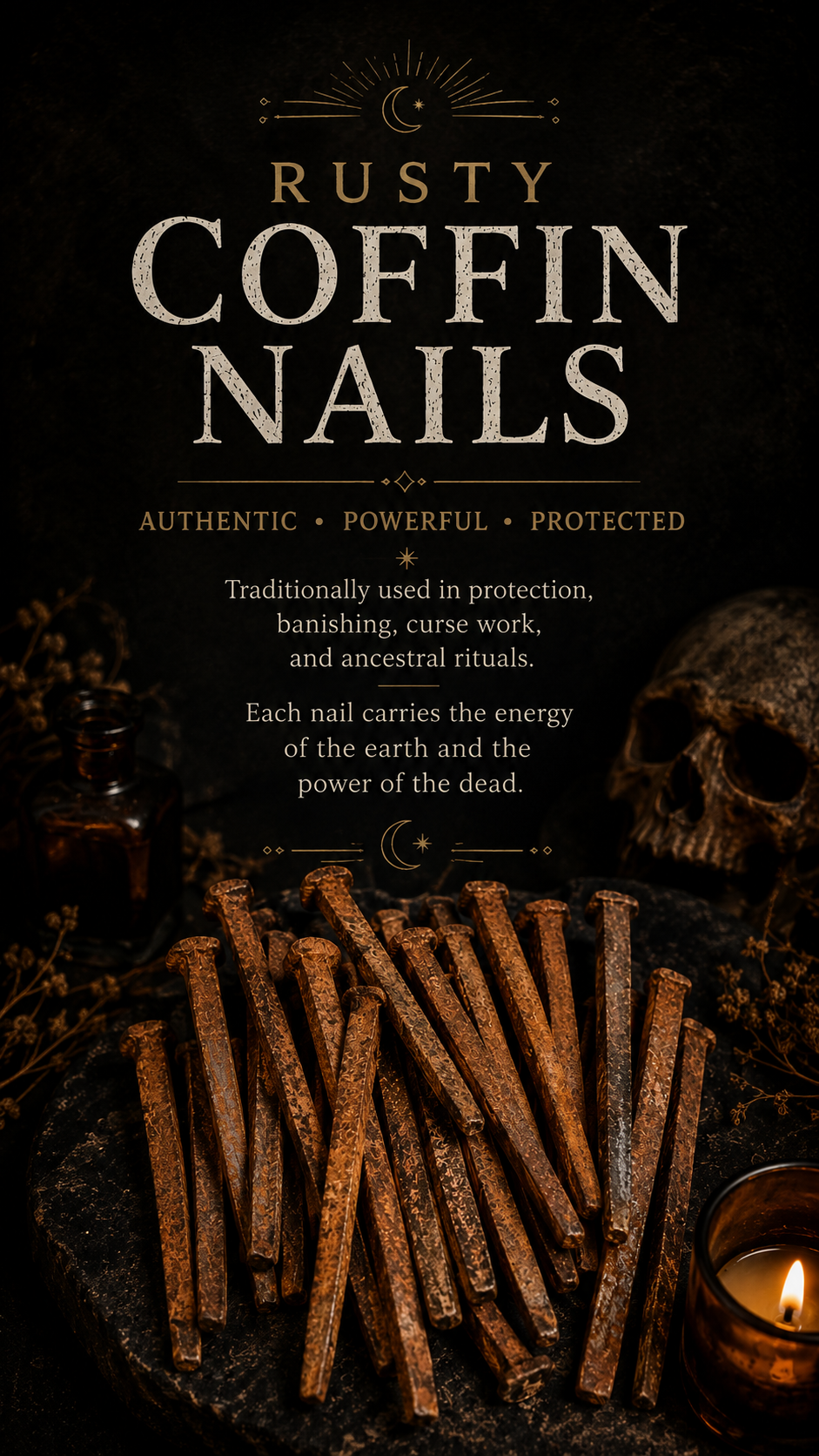 Authentic Rusty Coffin Nails (1x)