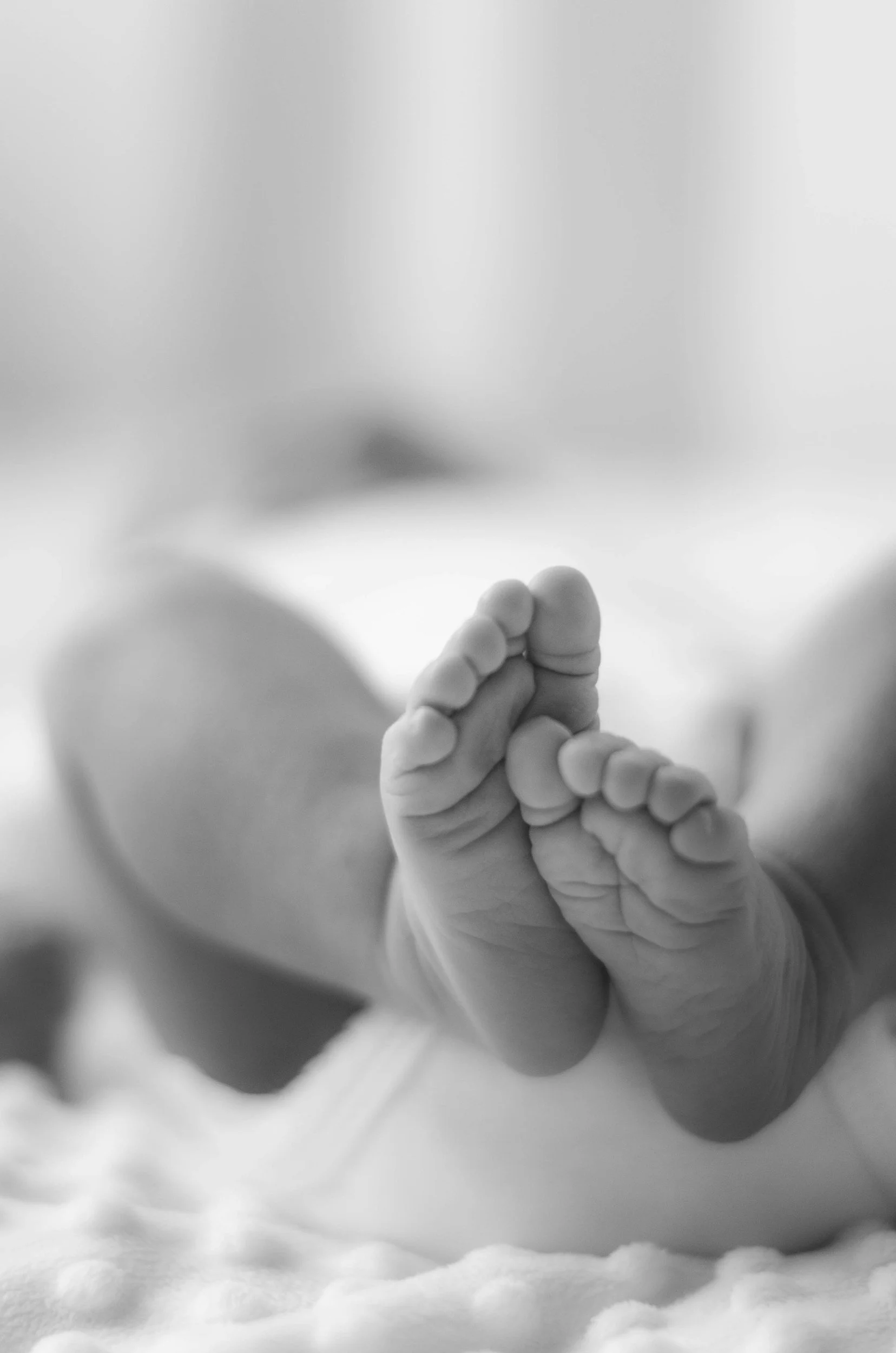 black and white image of baby feet