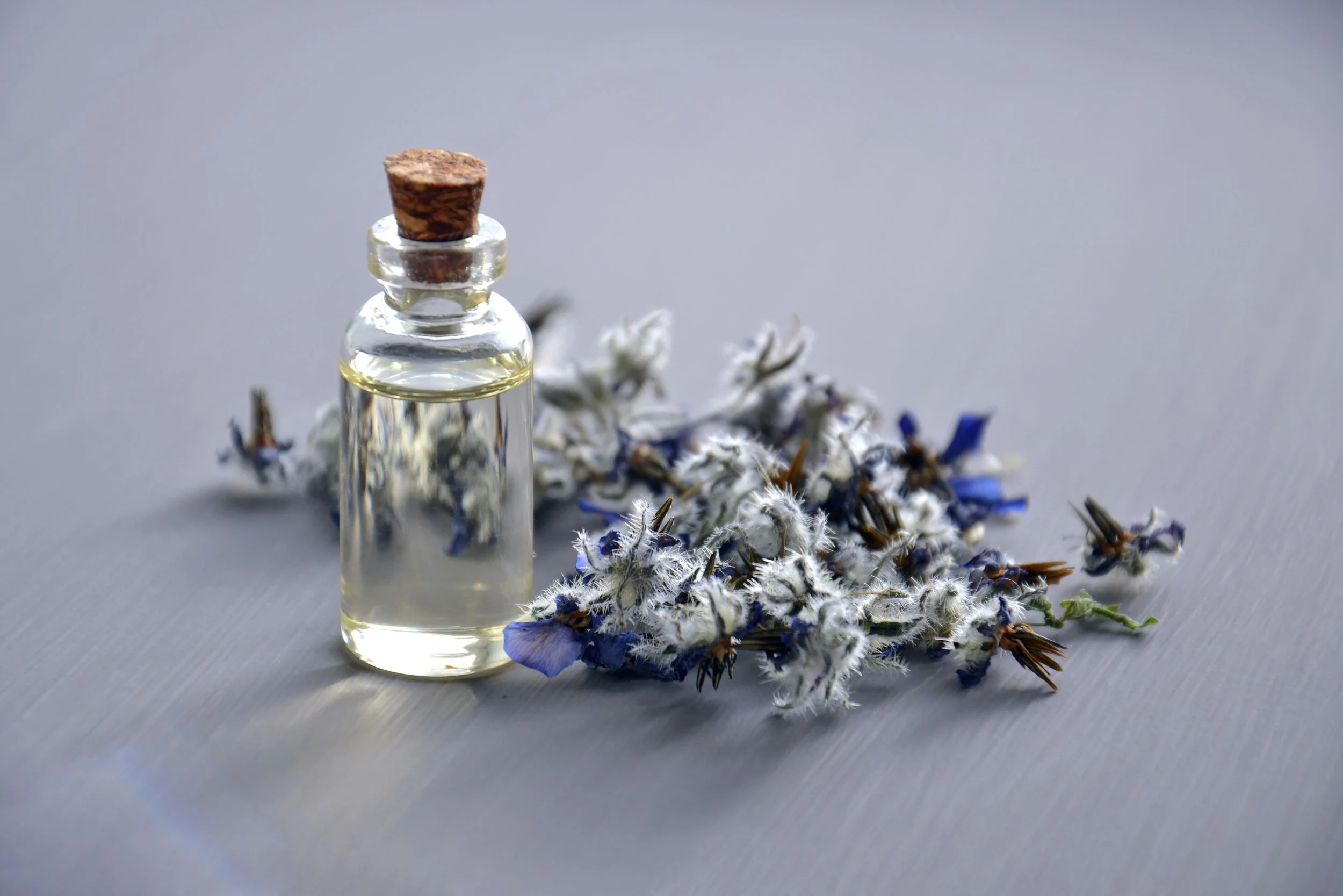 A small glass bottle with a cork stopper containing a clear liquid of flower essences, placed on a gray surface next to a scattered arrangement of dried white and blue flowers.