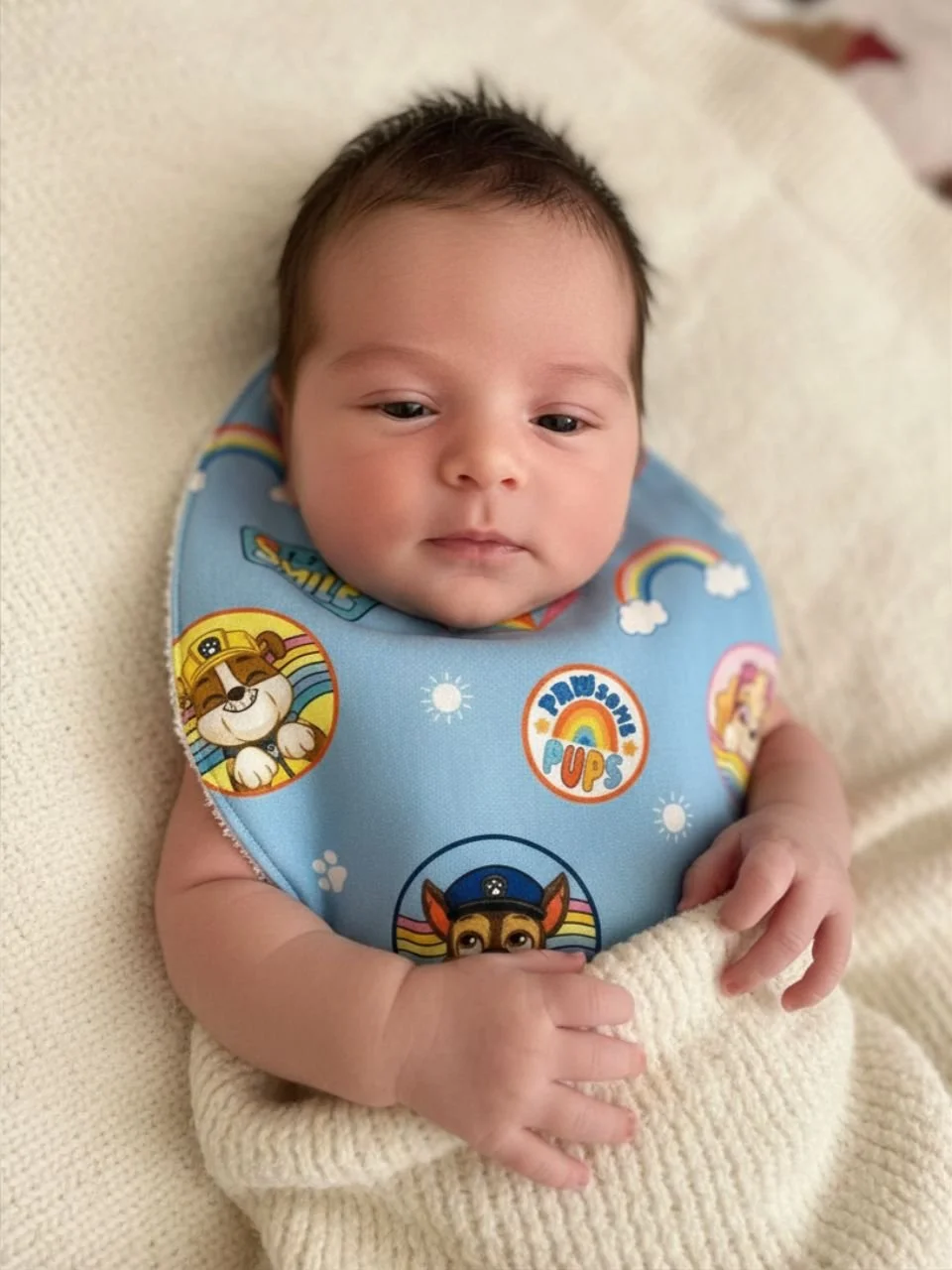 Blue Hero Puppies Baby Bib - 0-3 months