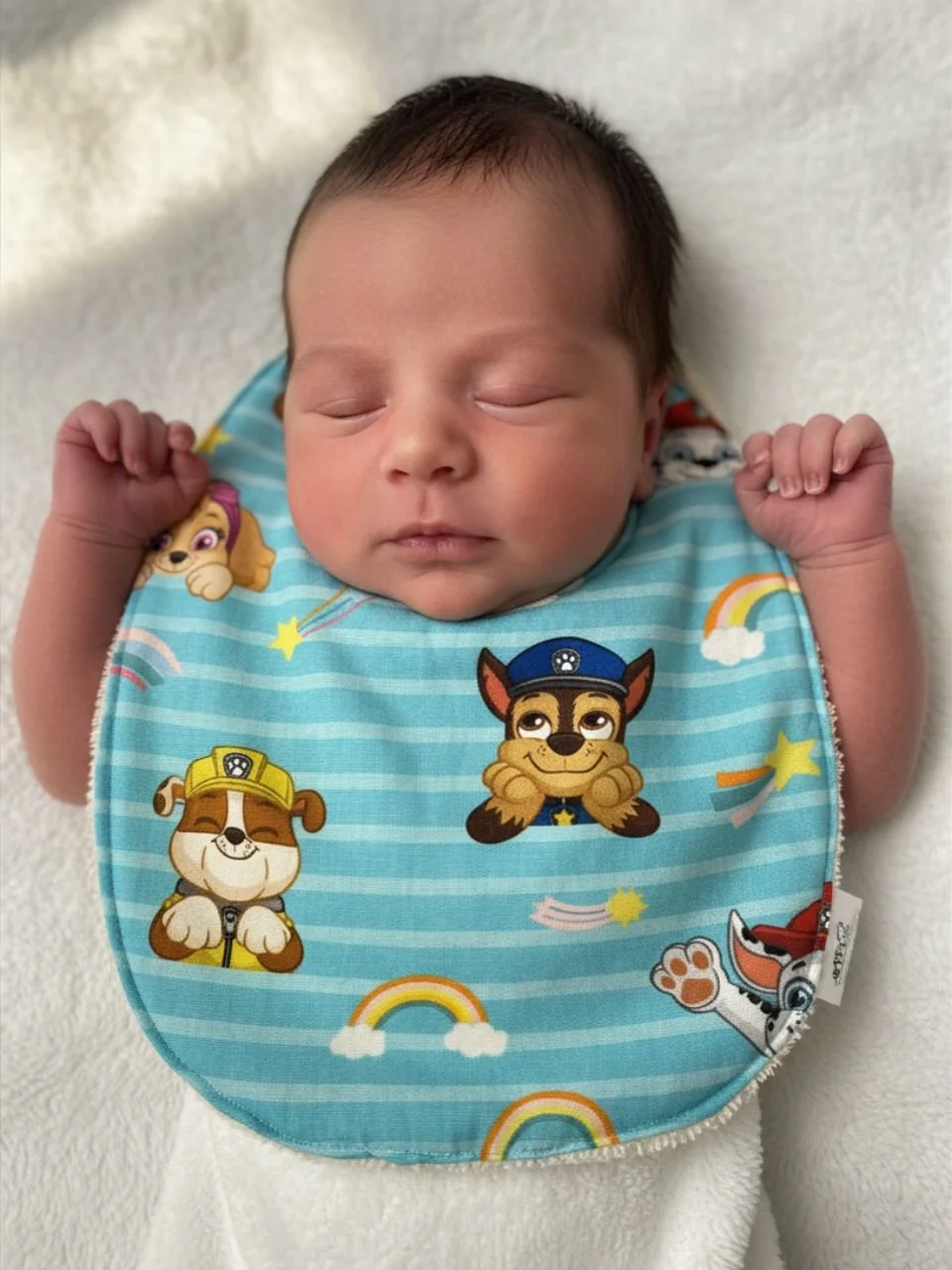 Aqua Hero Puppies Baby Bib - 0-3 months