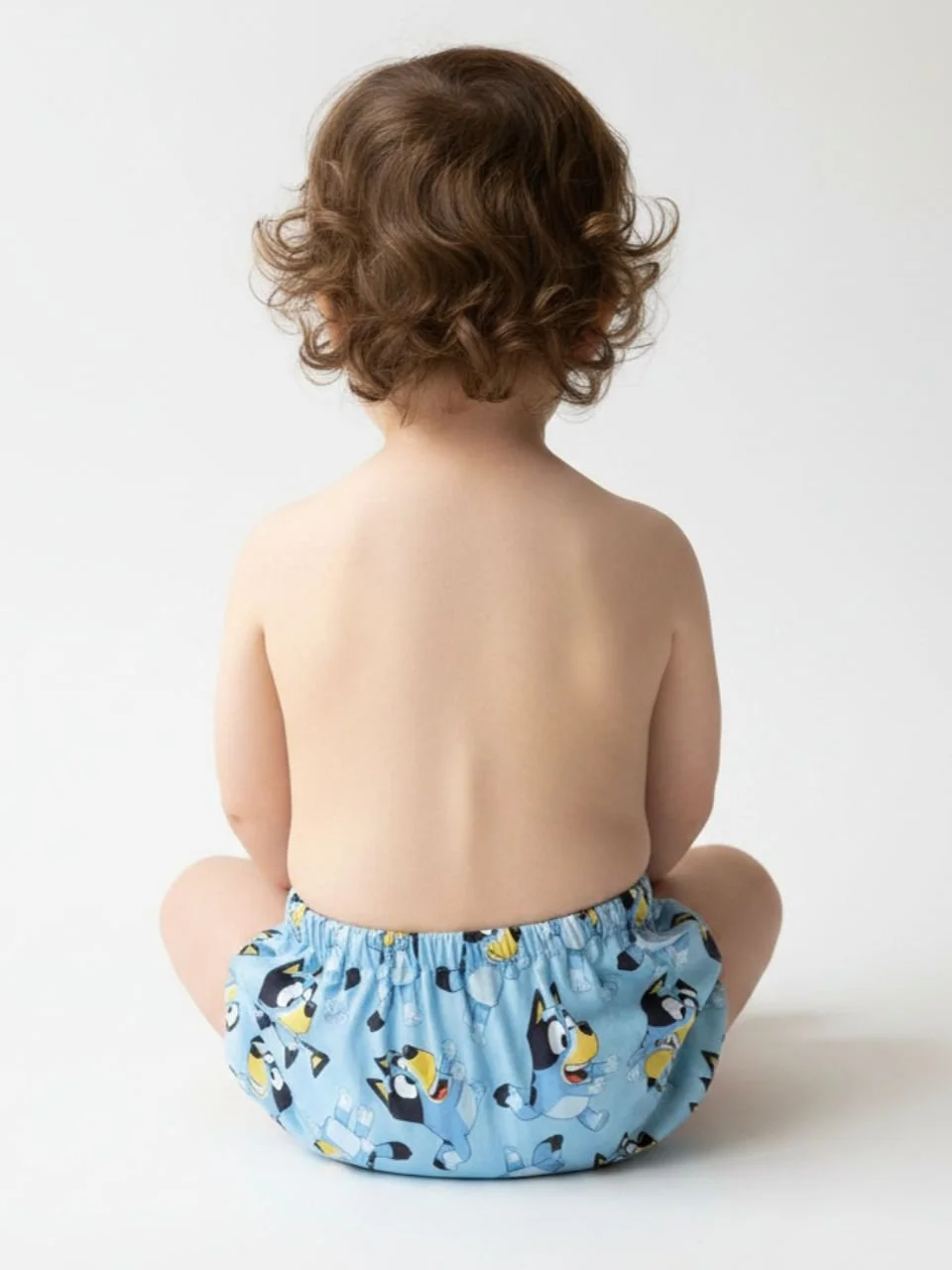 Blue Dog Nappy Cover - 18 months