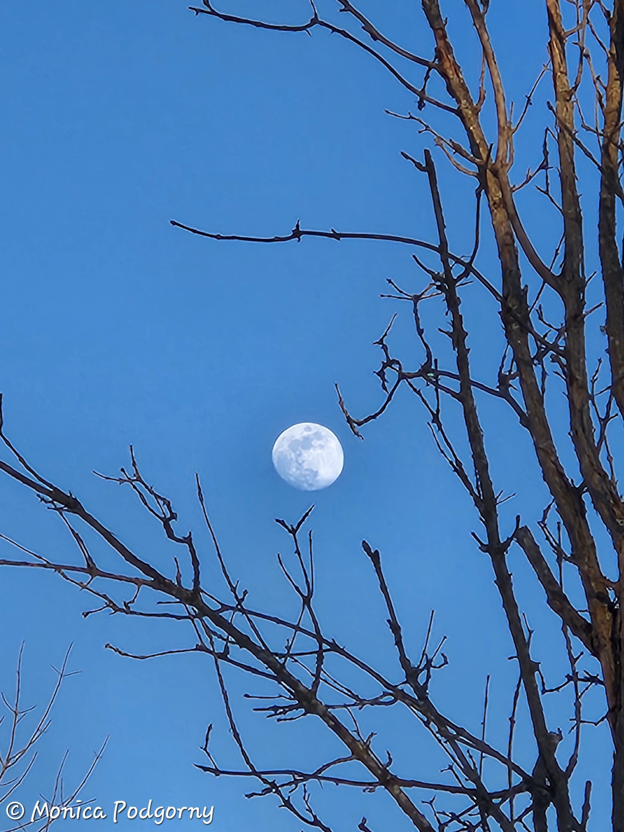 Spirit and Land Clearing (Psychopomp Work)