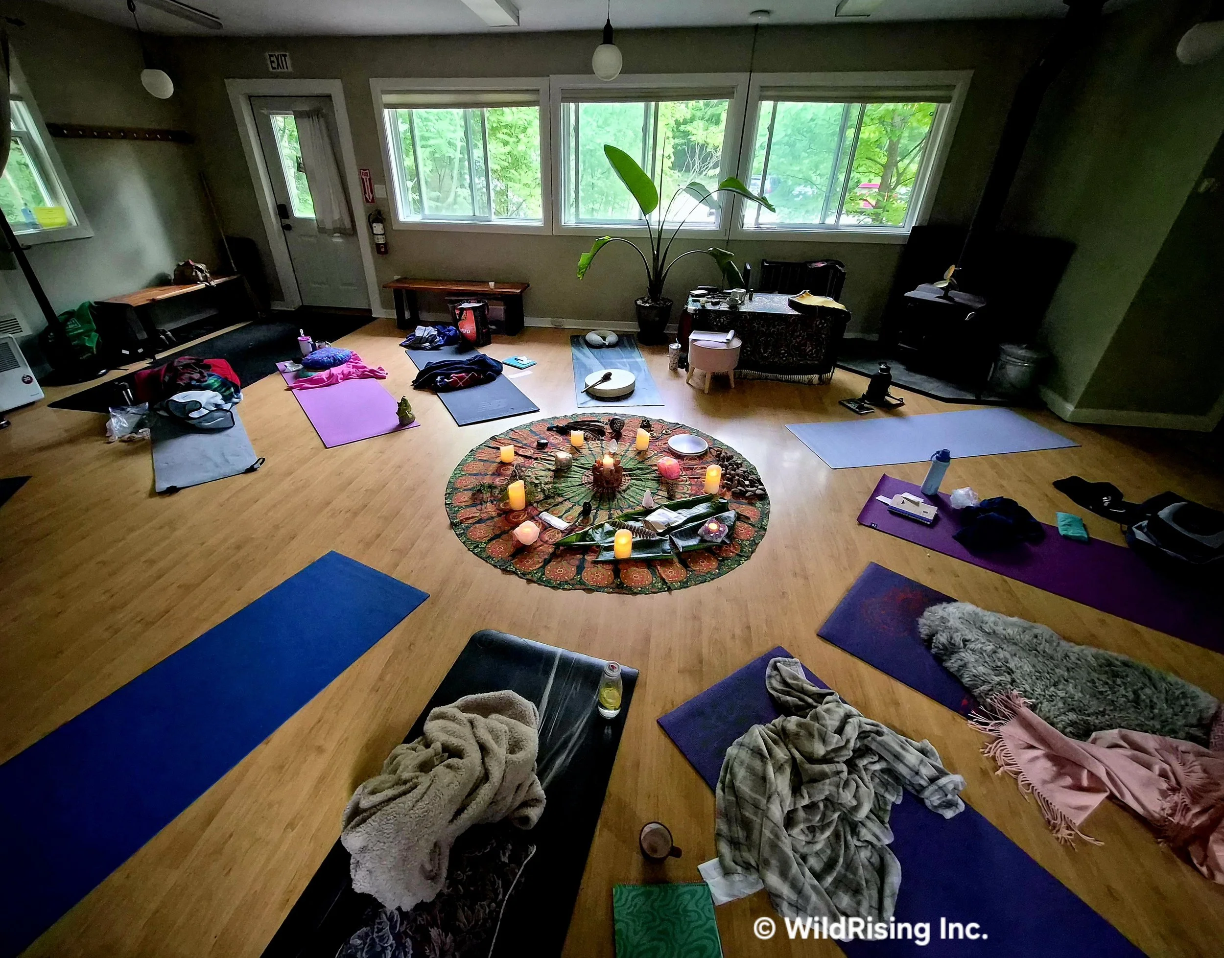 Amplify in Group: Customize a Session for your Yoga Class, Workplace, Event or Retreat