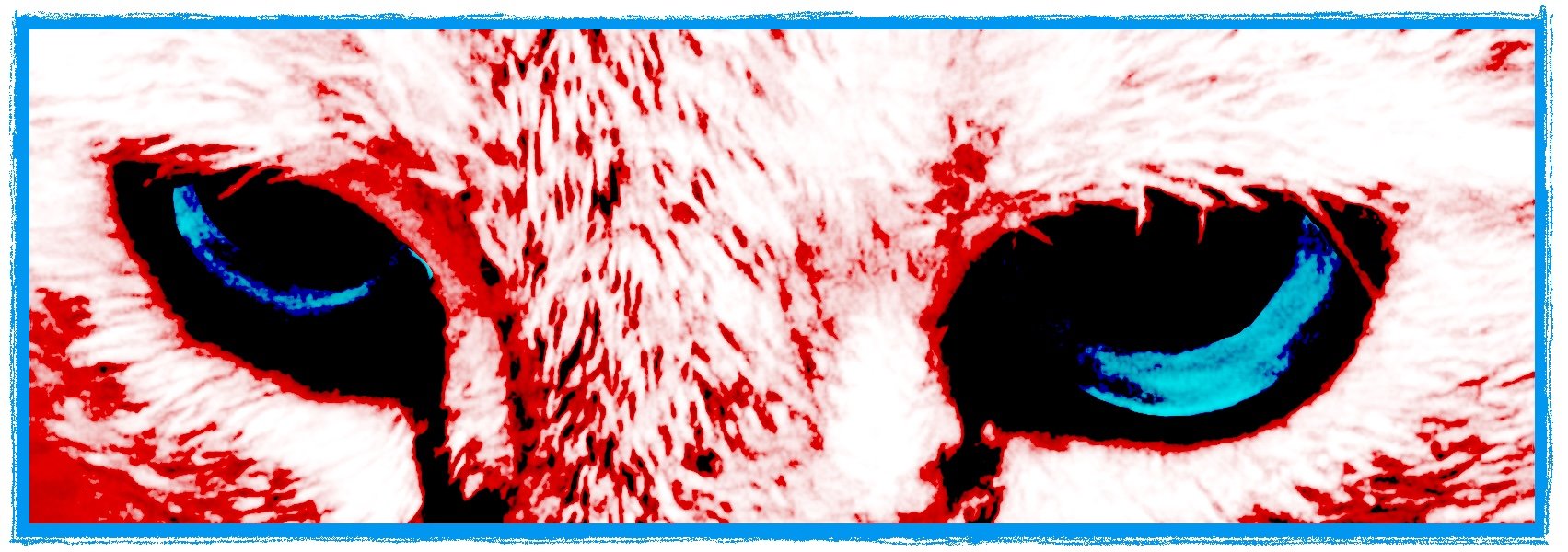 Close-up of a cat's face with striking blue eyes, edited with high contrast and color effects.