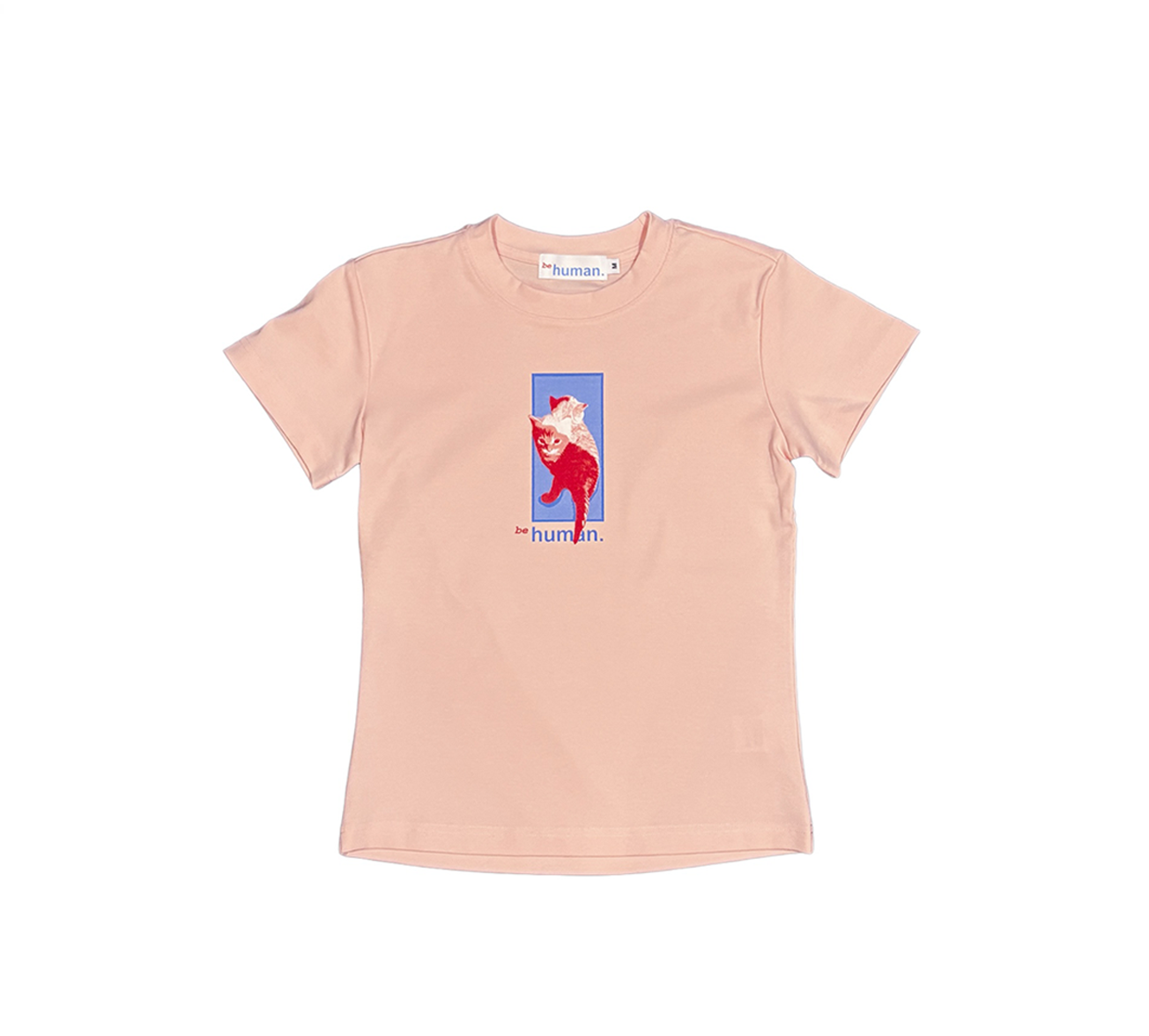 Untitled (12).png