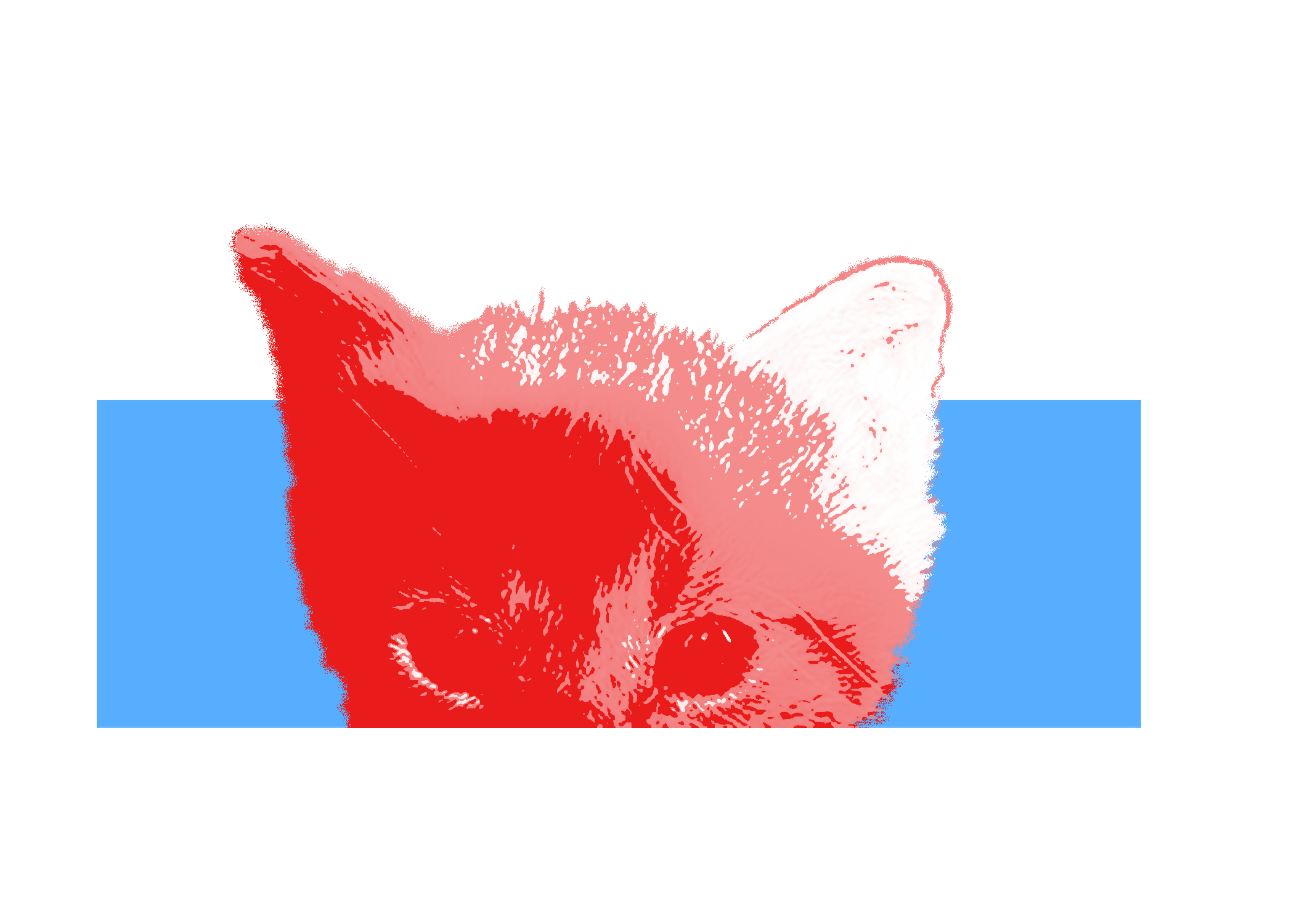 Digital illustration of a kitten submerged in water, with only the head visible above the surface, uses a limited color palette of red, pink, light blue, black, and white.