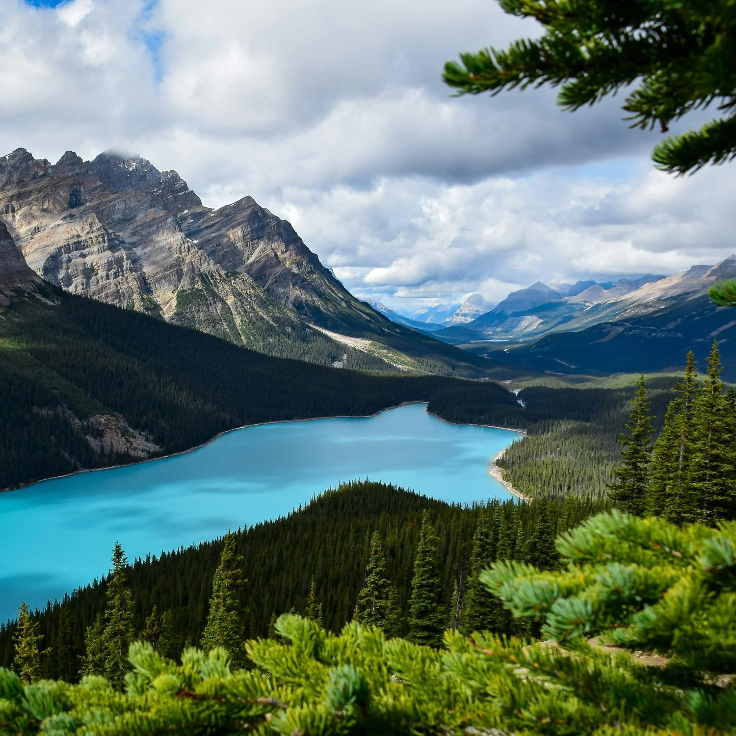 Inspiring mountain view with lake and trees.