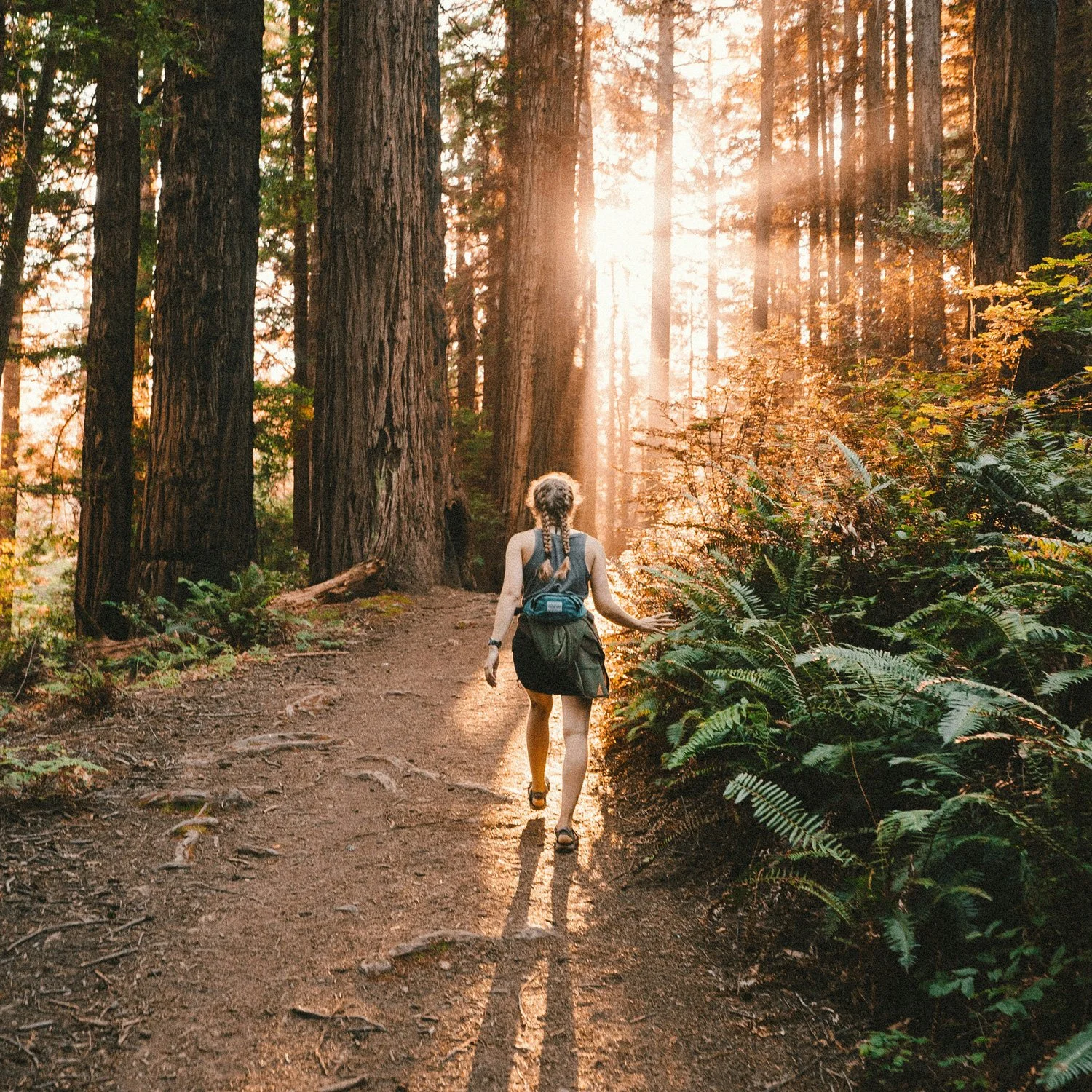 Woman walks on a forest trail.