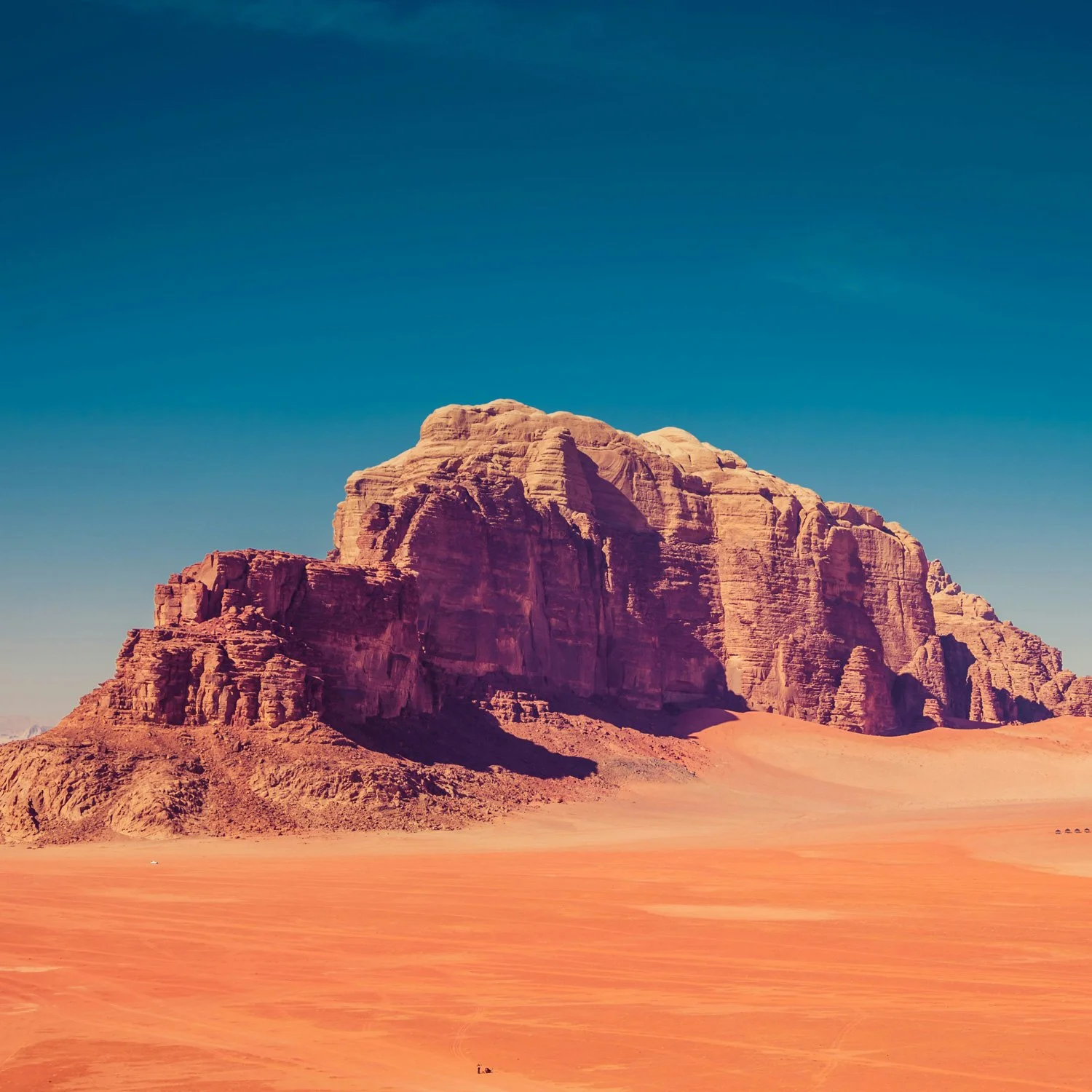 Desert view with large rock outcropping in the background.