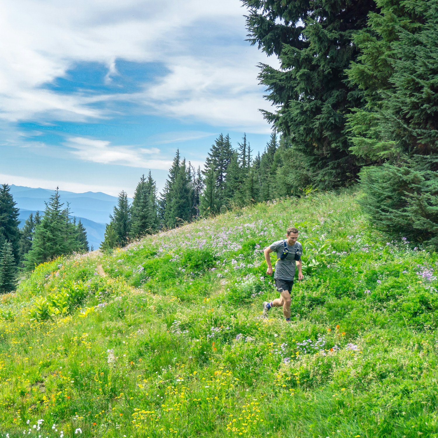 Trail runner runs through mountains of Colorado.