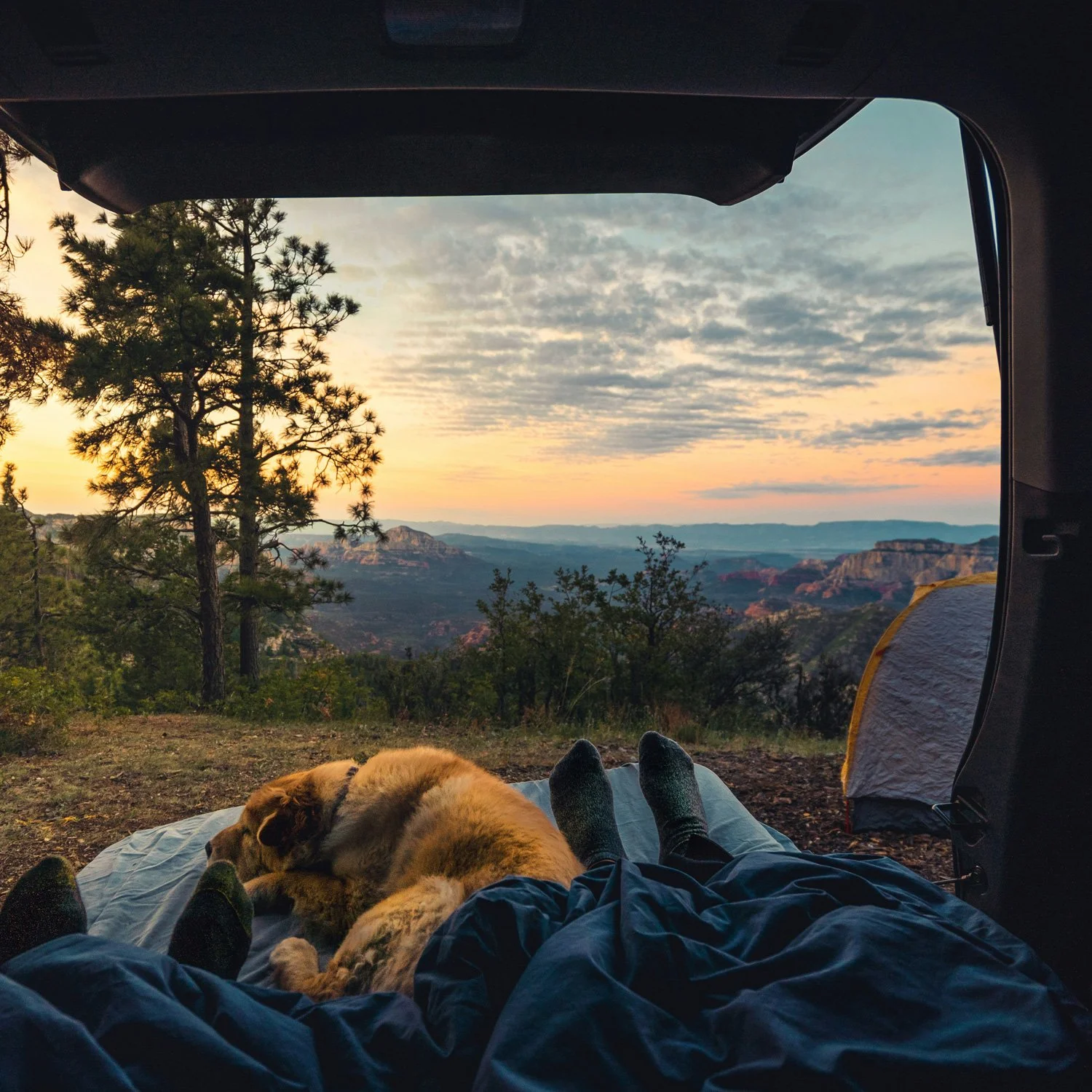 A couple of car campers with their dog enjoy the view.