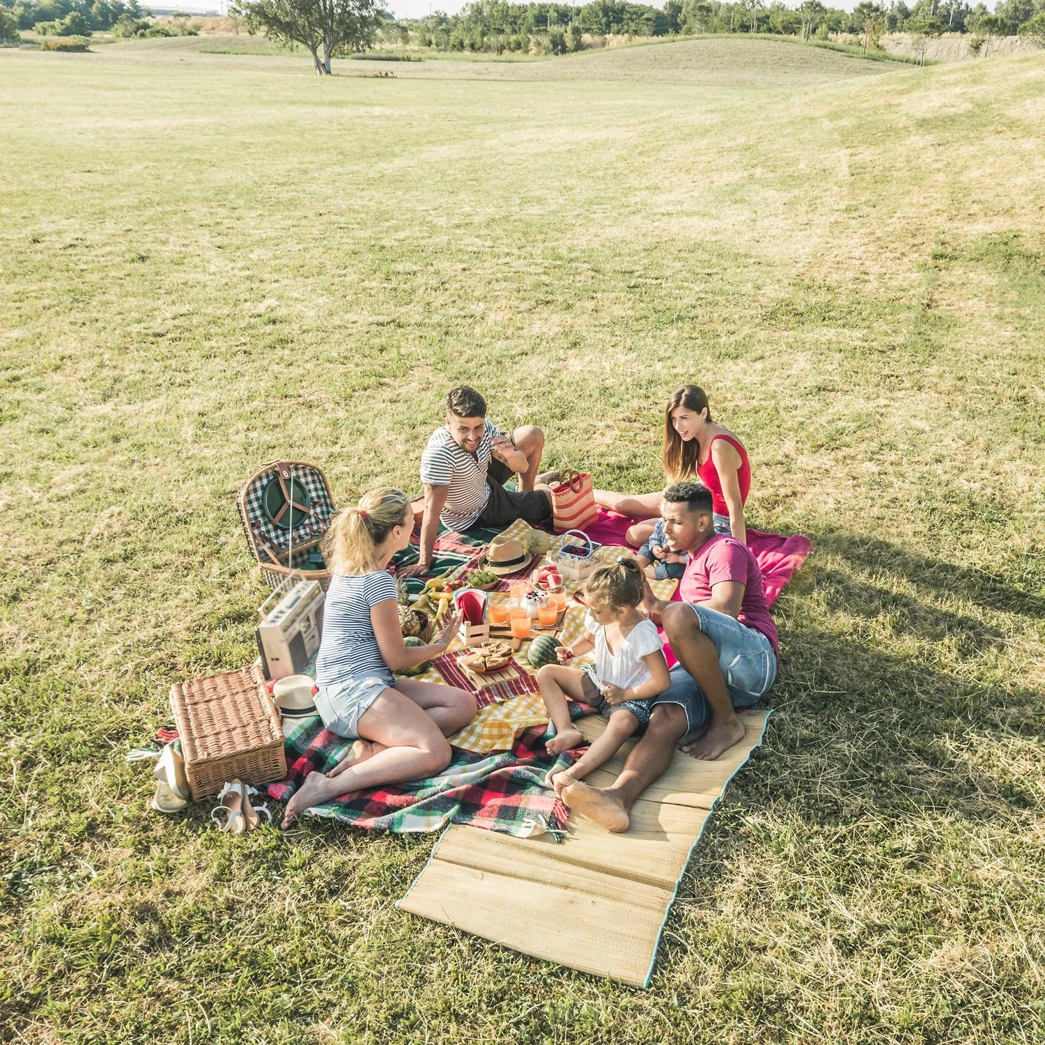 Group of friends sit on a picnic blanket.